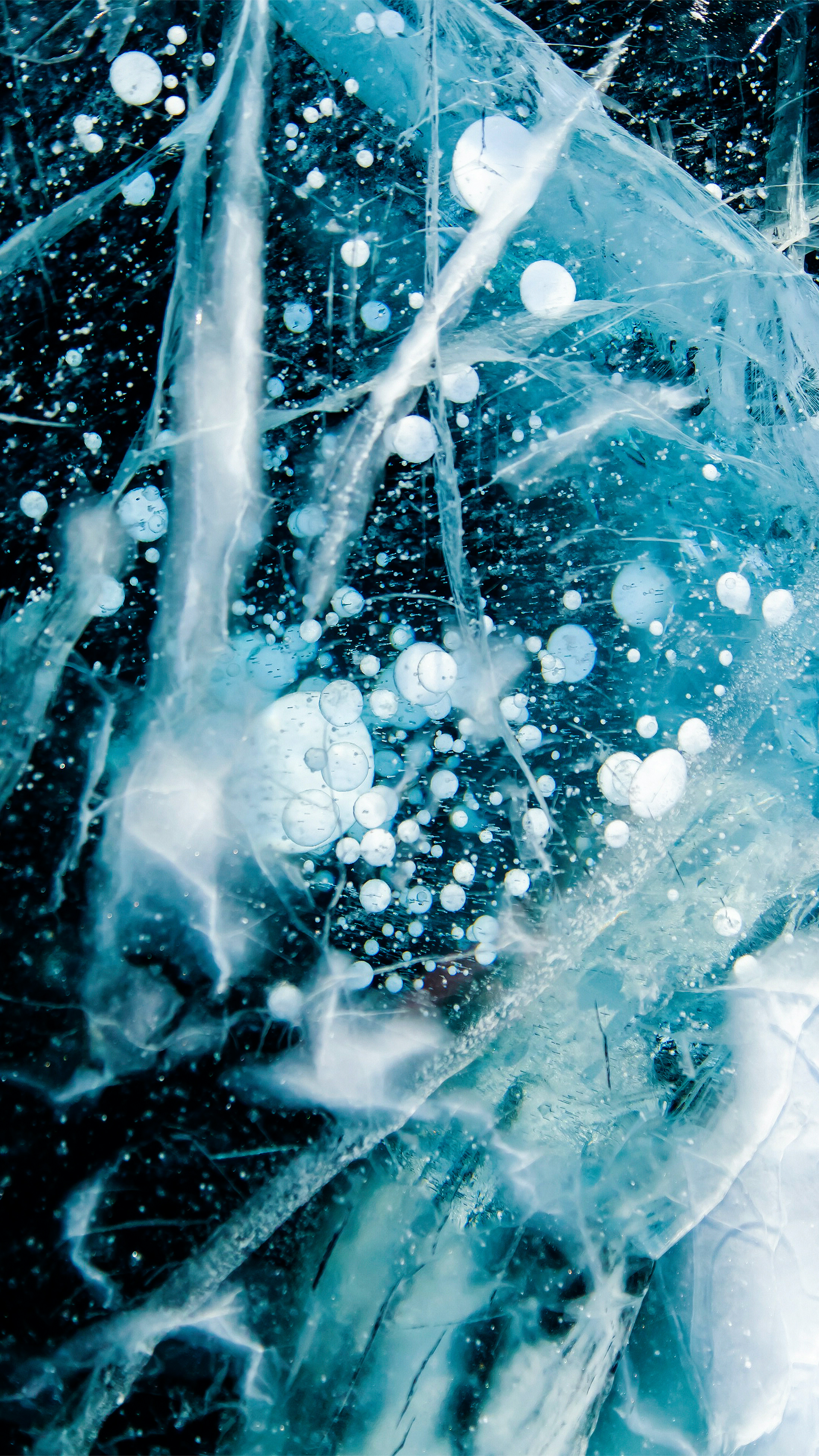 Photo by impermanent