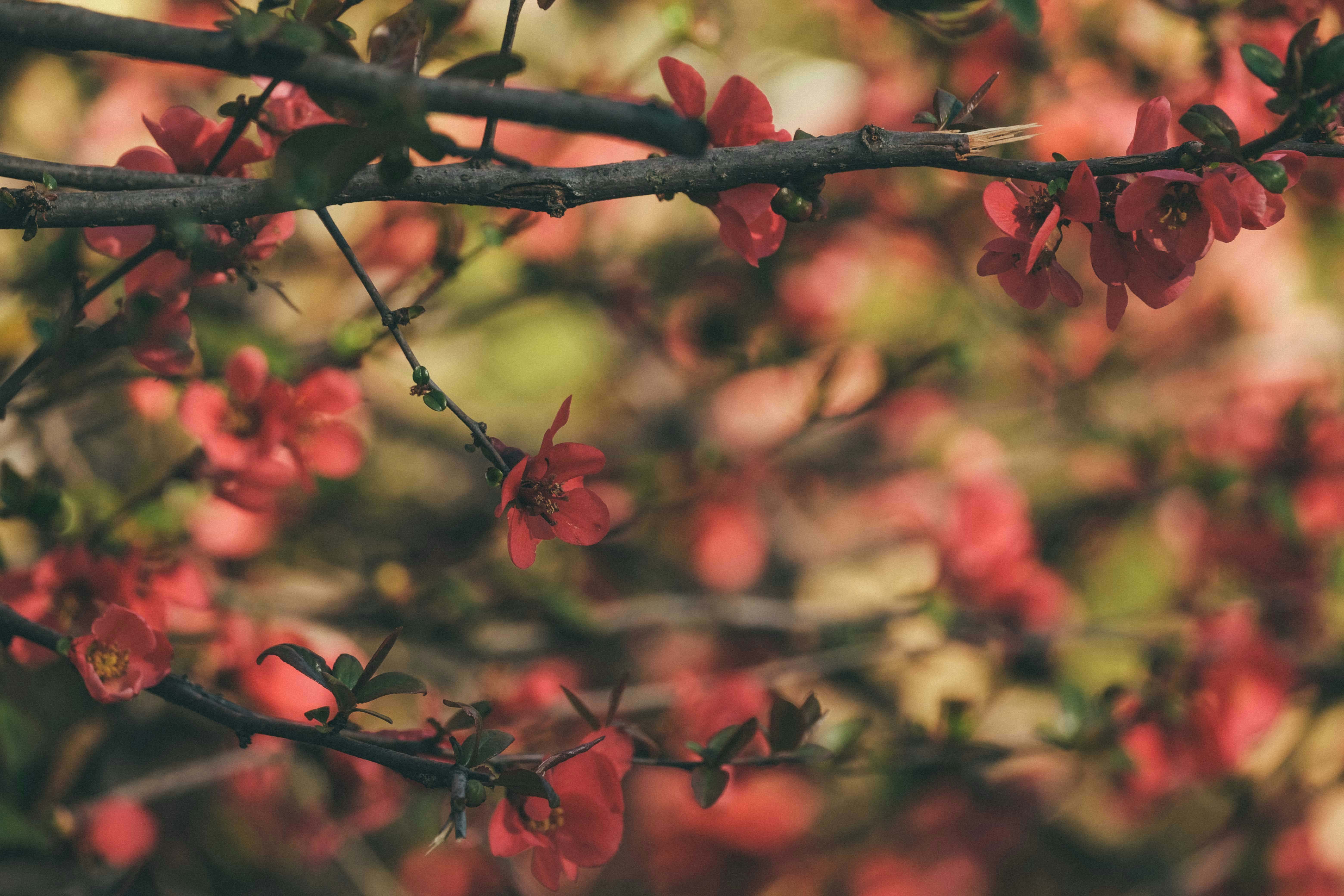 Photo by francesco_ungaro