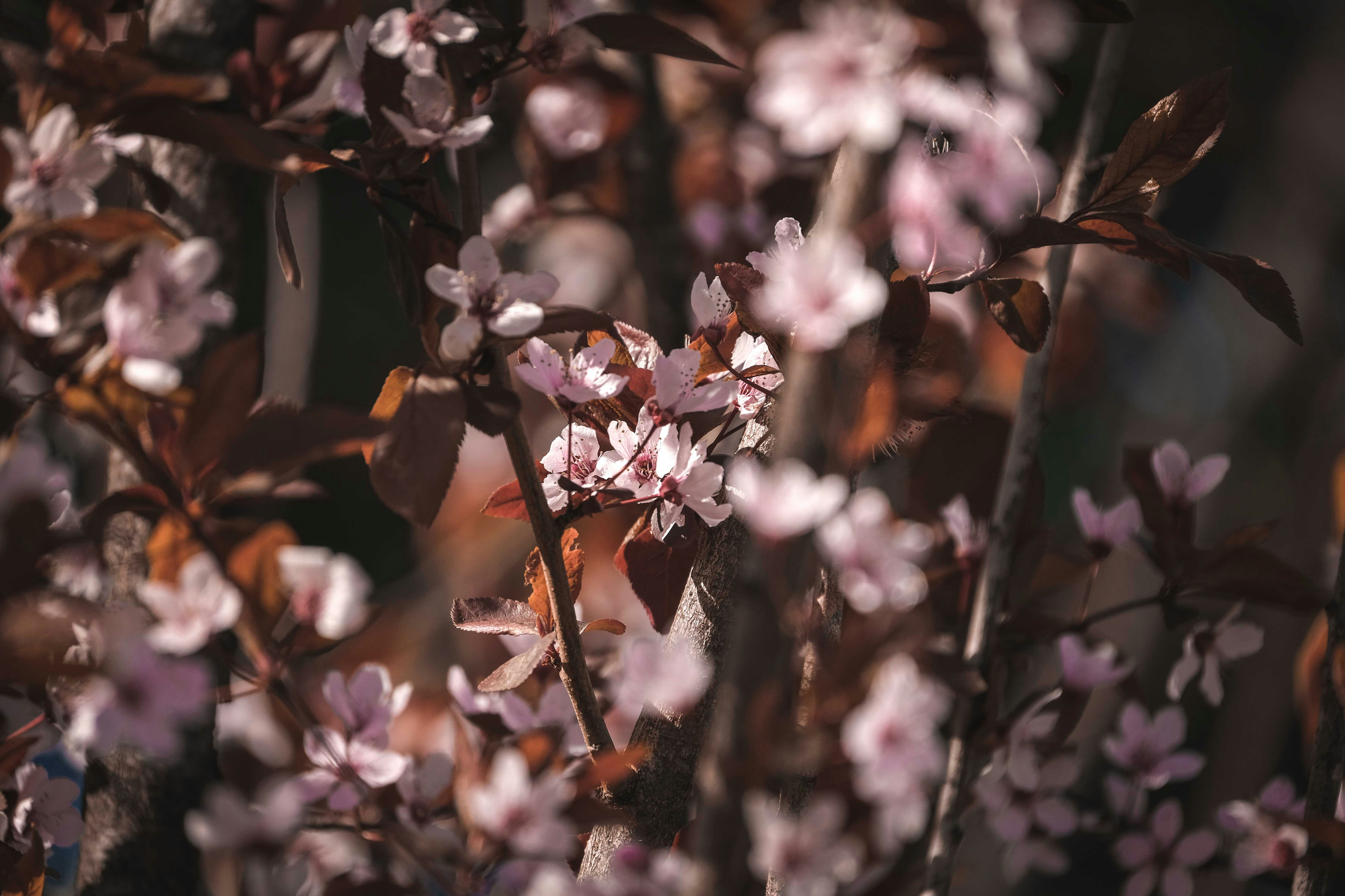 Photo by francesco_ungaro