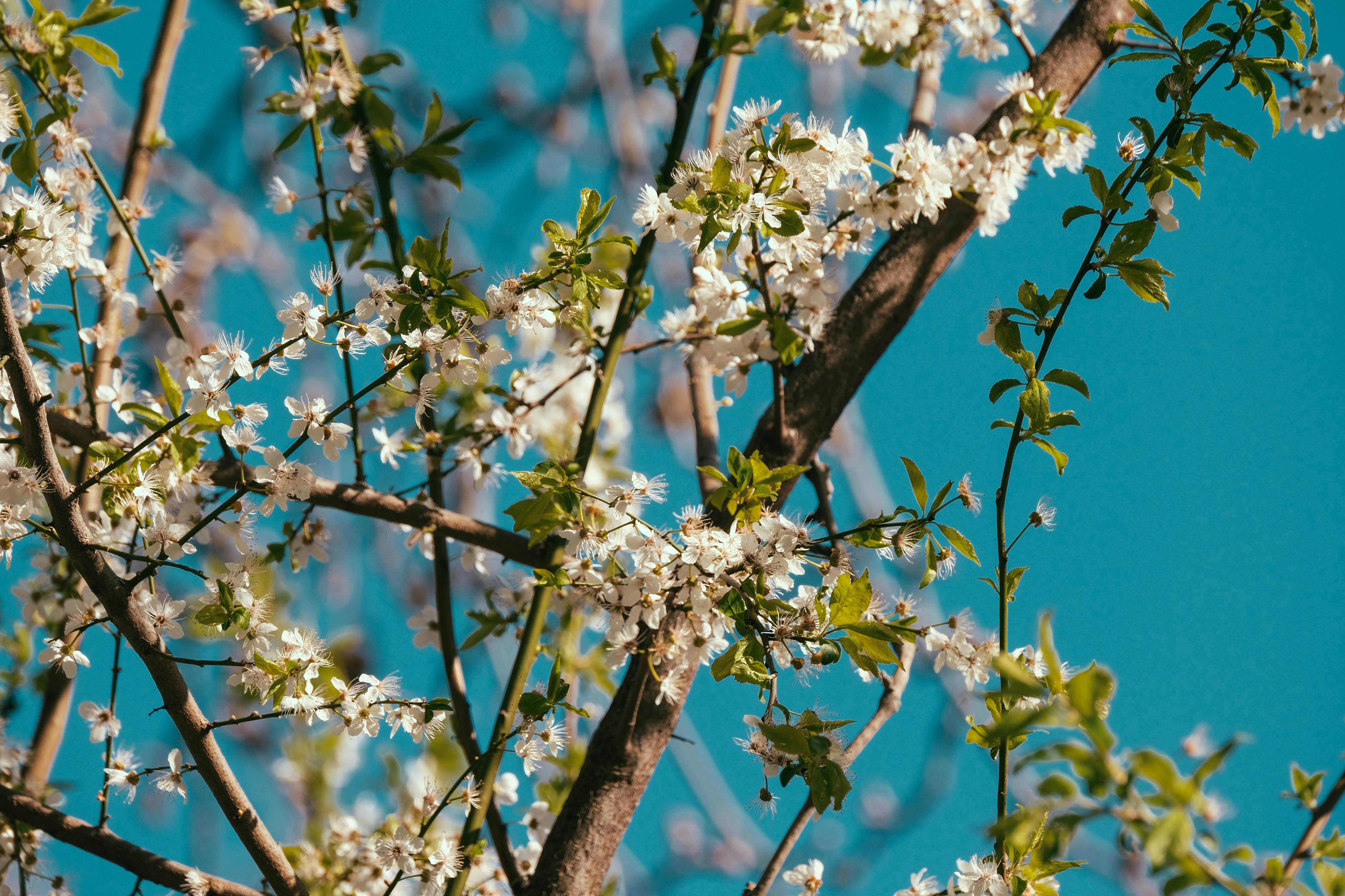 Photo by francesco_ungaro