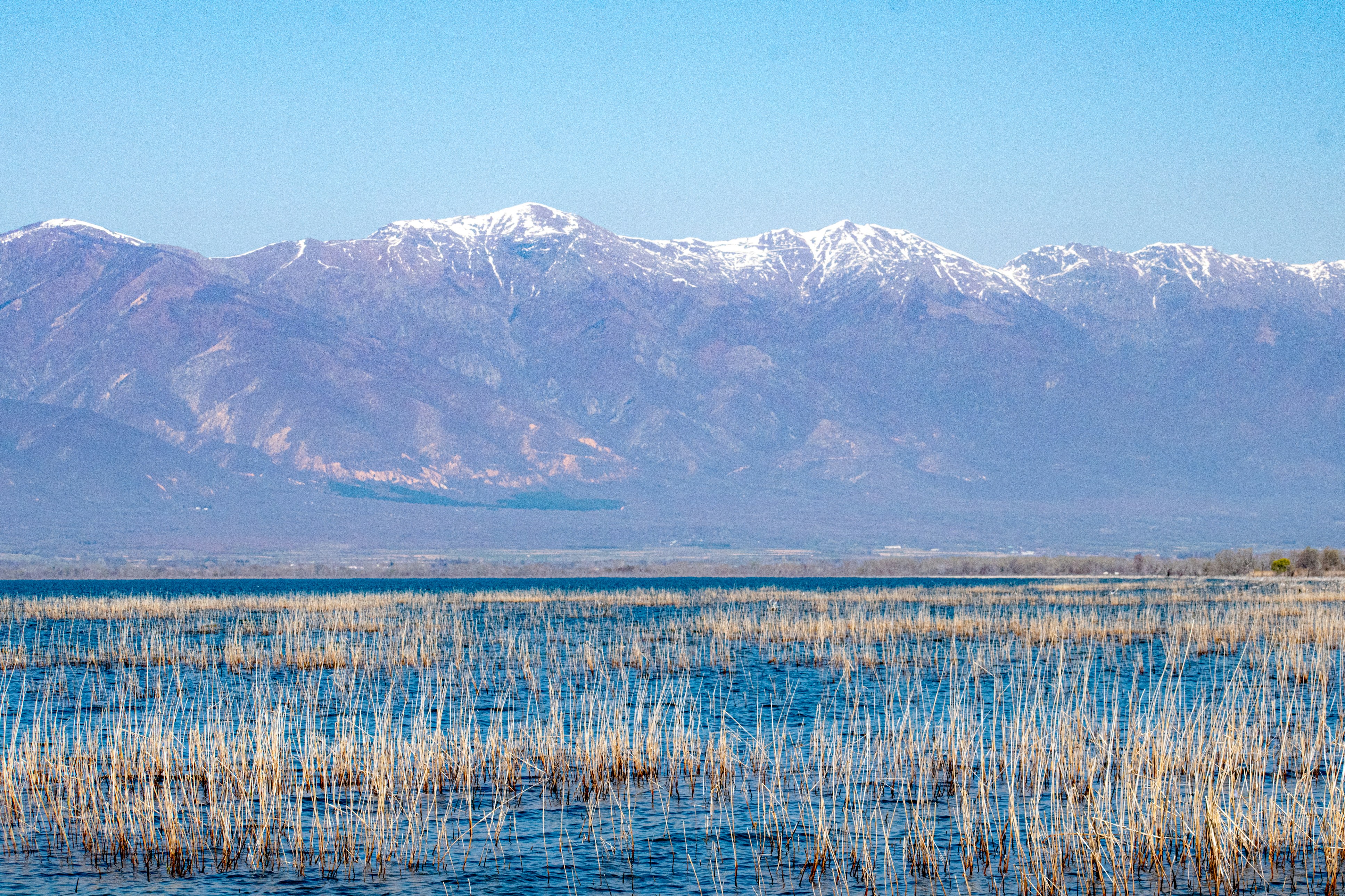 Photo by stelios_tsaousidis