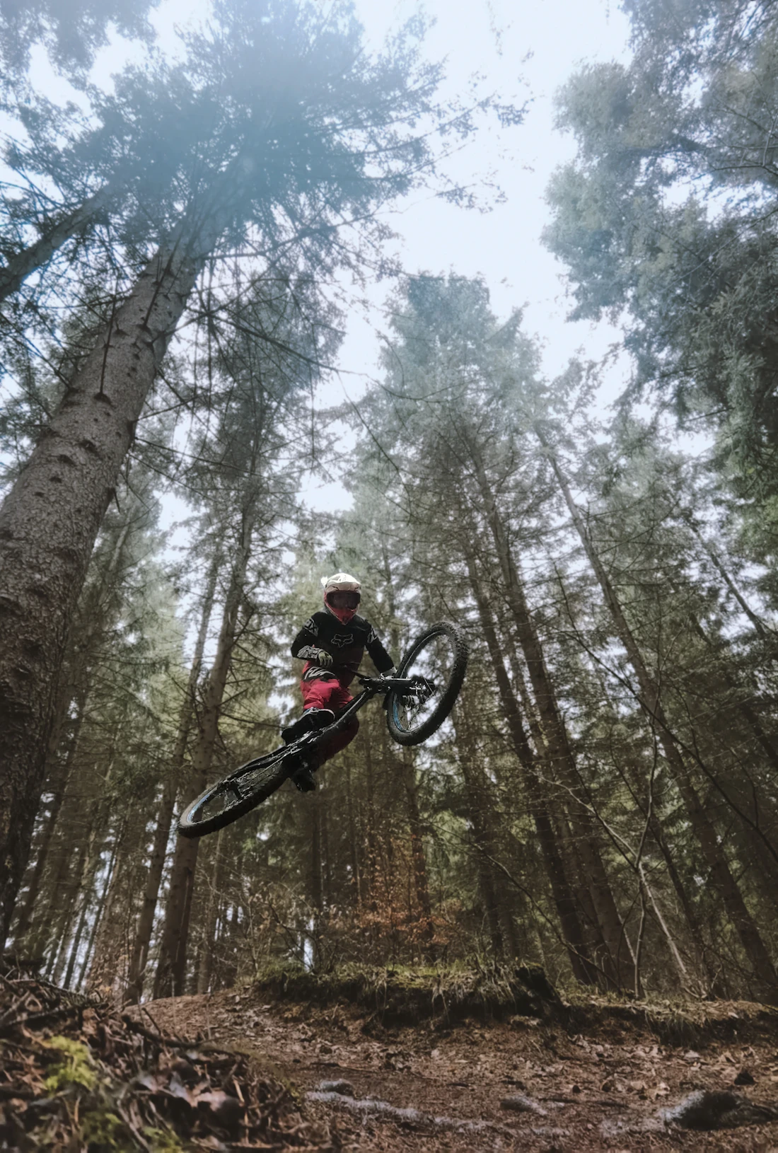 A rider moving through an open stand of forest with light coming through behind.