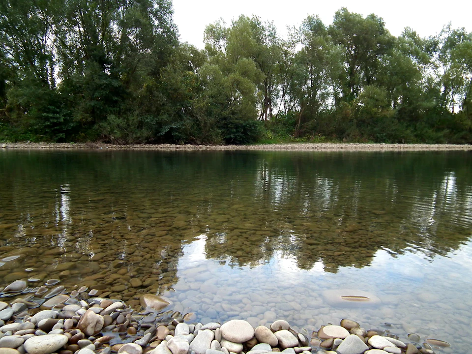 The image depicts a serene riverbank scene with a calm, light blue-green body of water reflecting the surrounding trees and sky. The river is flanked by lush green trees on both sides, creating a sense of tranquility. On the left side of the image, there are large rocks scattered across the bank, adding texture to the landscape. The perspective of the photo suggests it was taken from the shoreline or near the edge of the water, offering a view that extends into the distance where the river meets the sky.