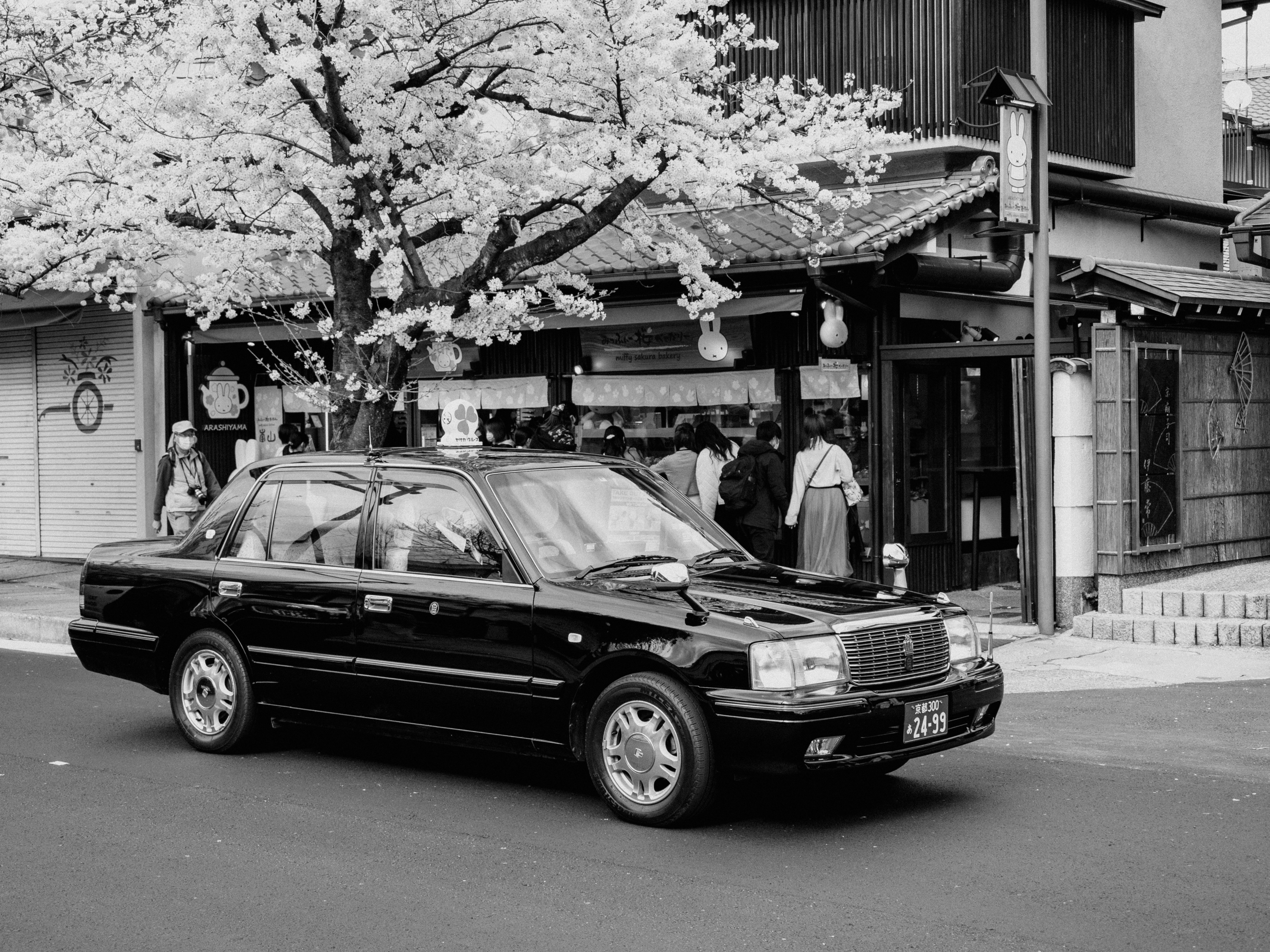 Photo by shellingfordyu