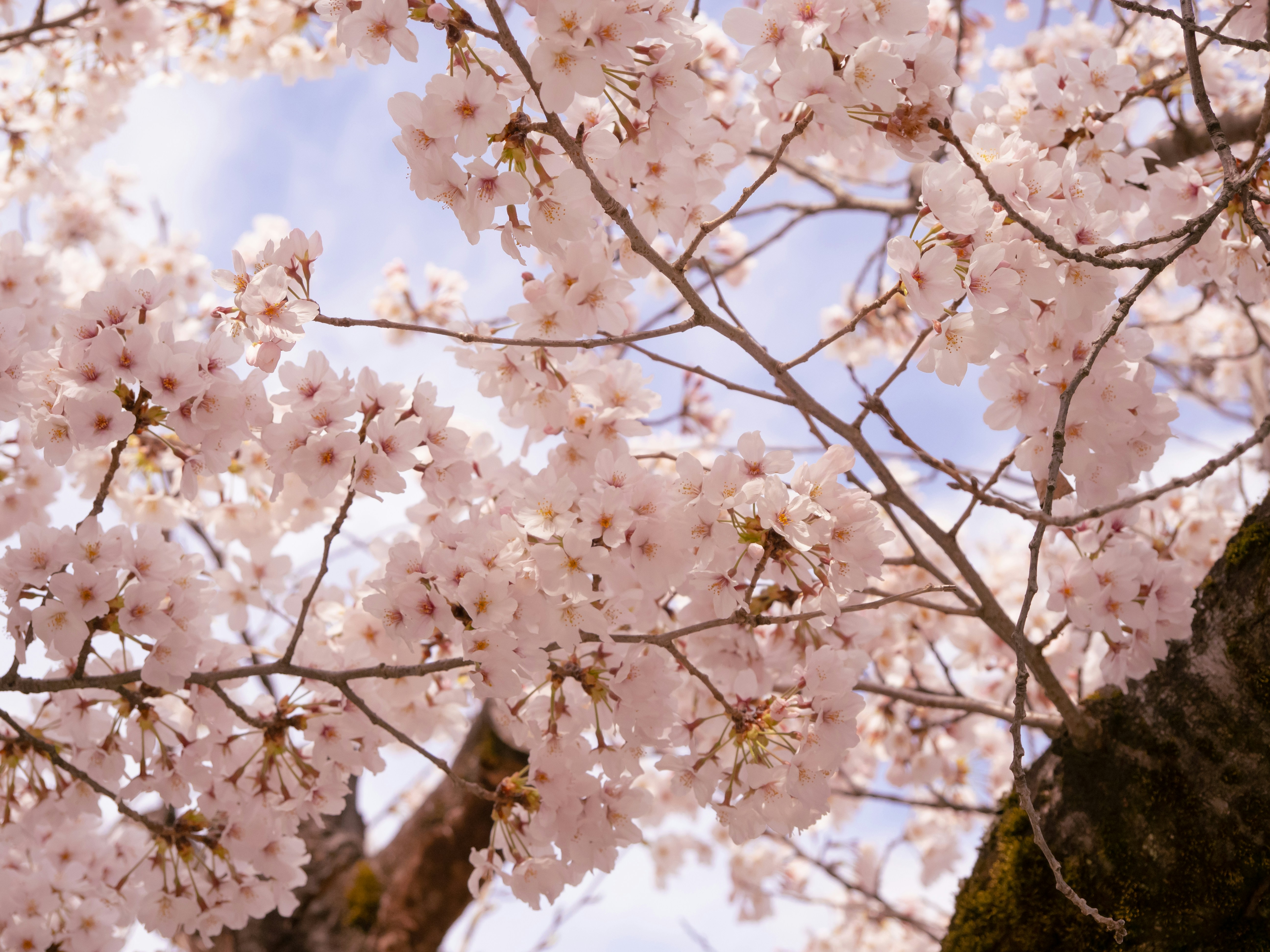 Photo by shellingfordyu