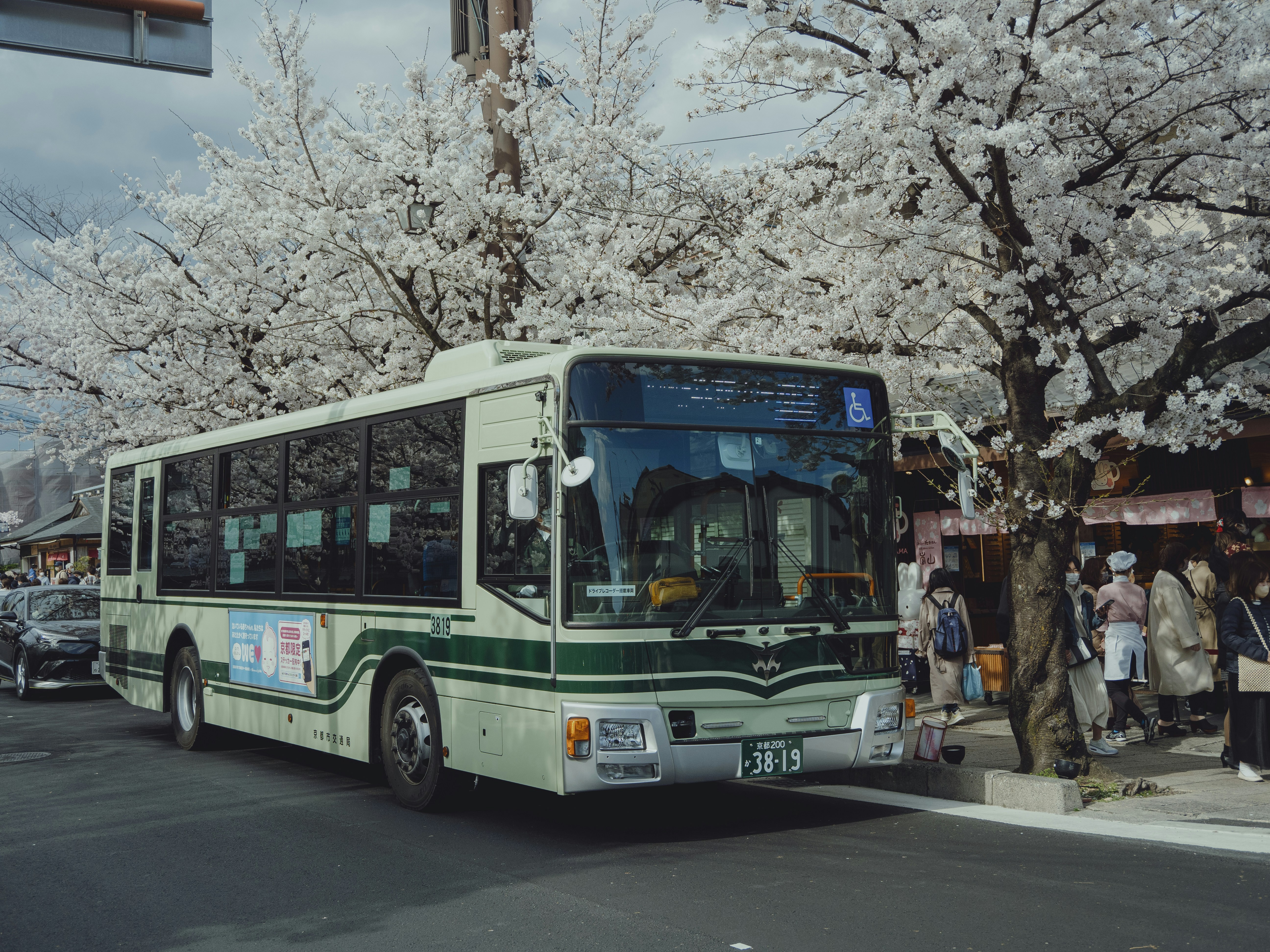 Photo by shellingfordyu