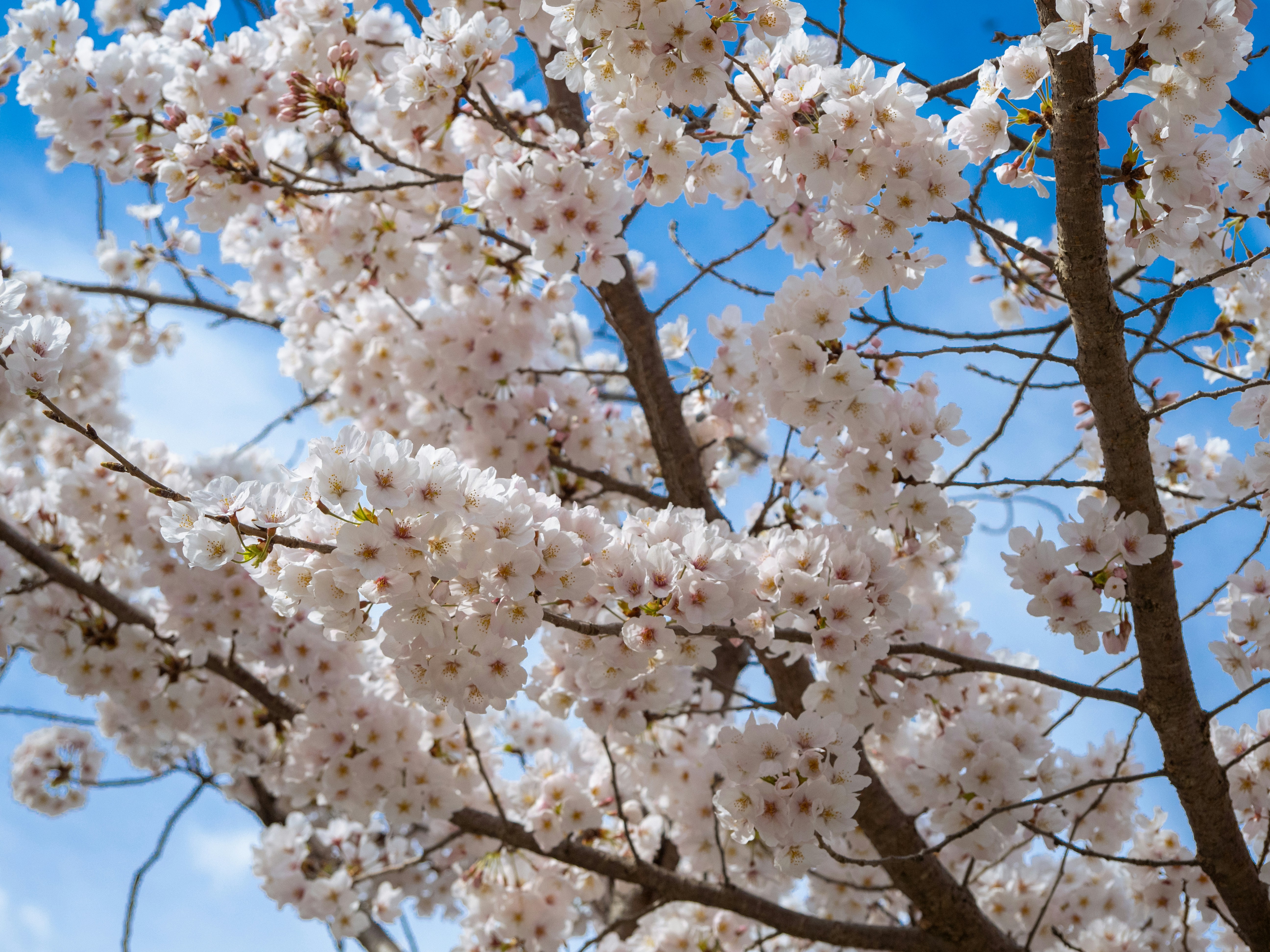 Photo by shellingfordyu