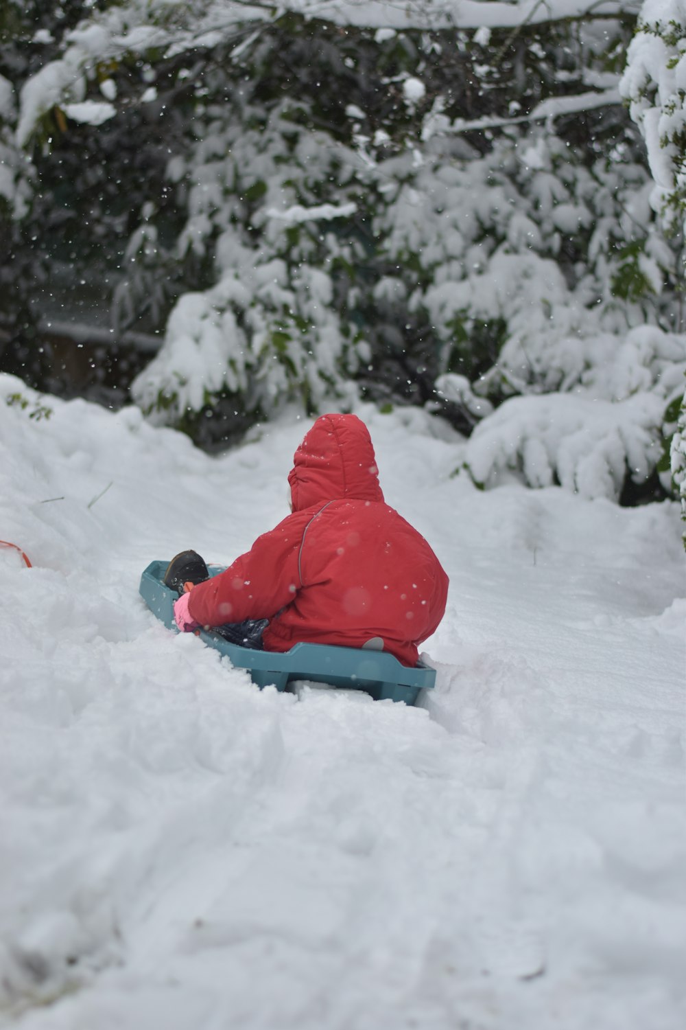 a young child sitting in the snow on a sled