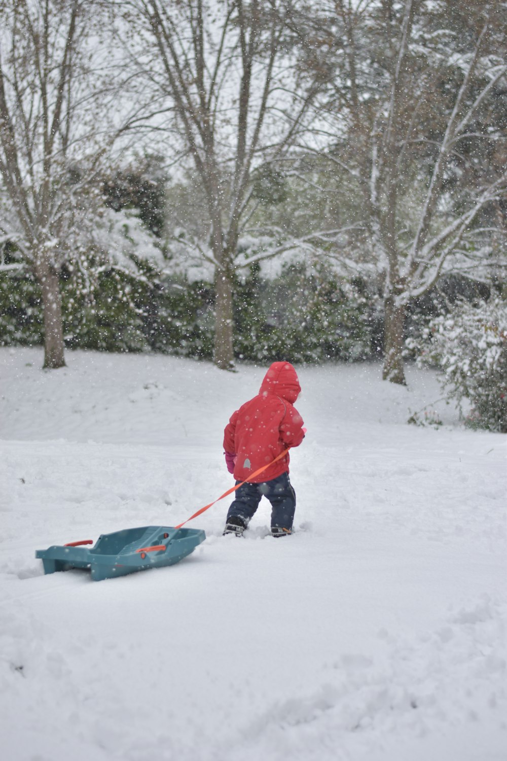 a little boy playing in the snow with a sled
