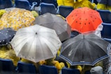 Several colorful umbrellas, including a red one with black spots and a yellow one with cartoon characters, are opened to shield people from rain. Rain droplets are visible on the umbrellas, and the people underneath are wearing yellow raincoats, seated in what appears to be a stadium or outdoor event seating.