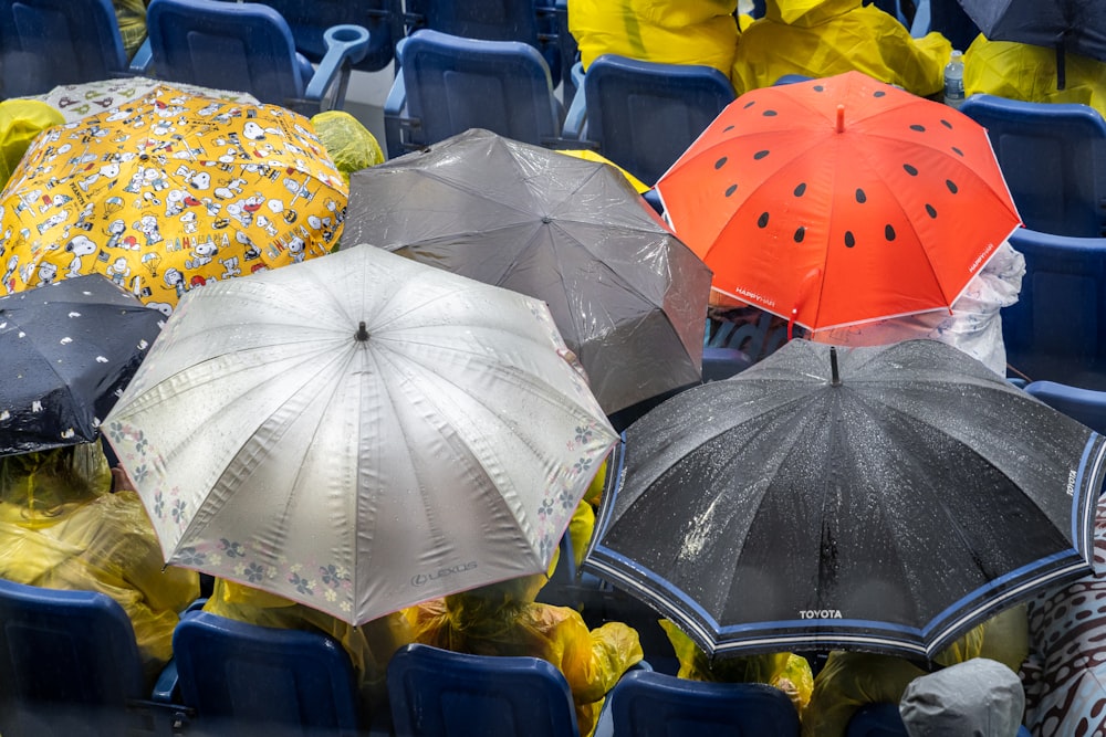 un gruppo di persone con ombrelli in uno stadio