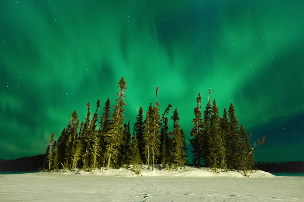 a snow covered field with trees under a green sky