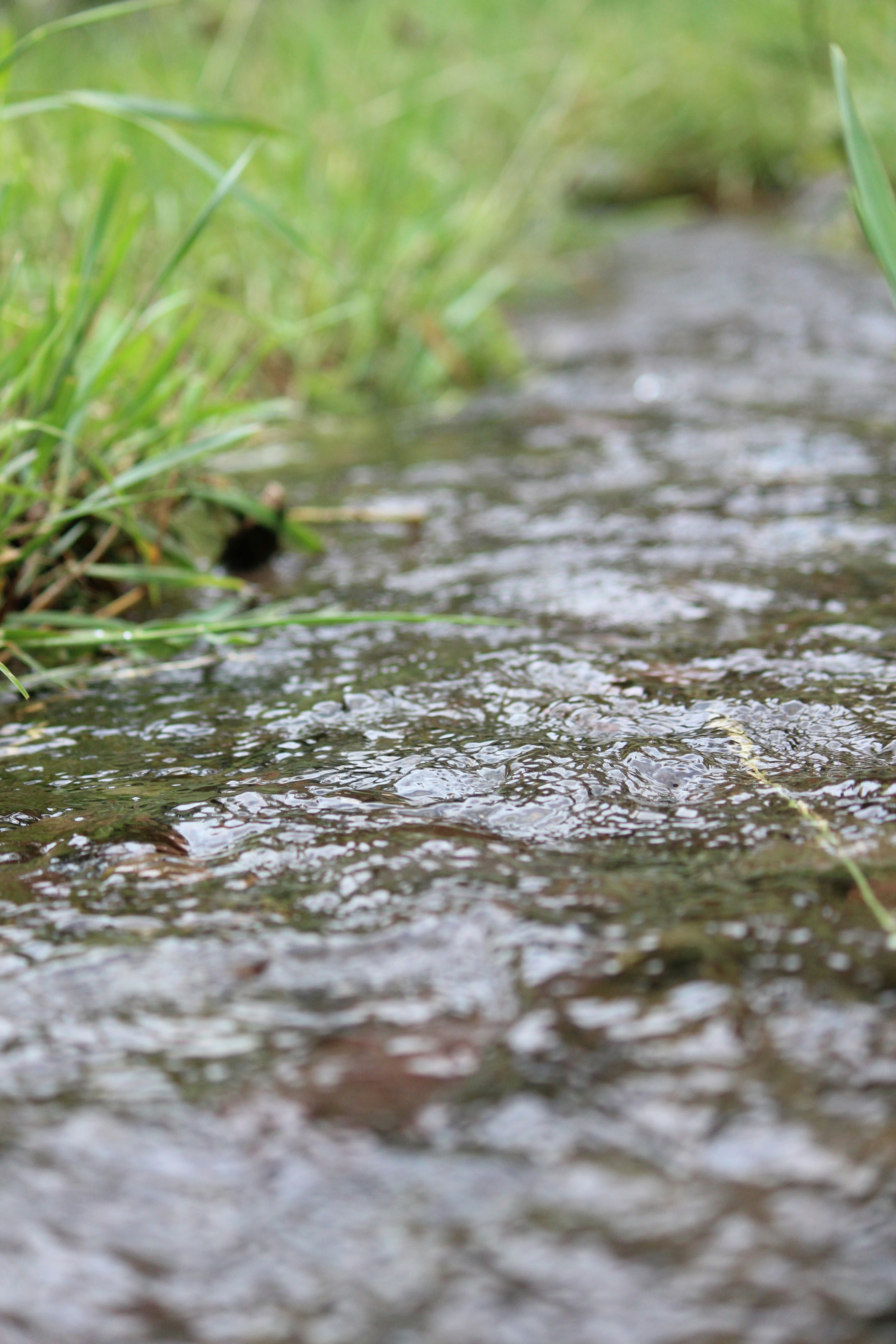 Photo by elmountassir1