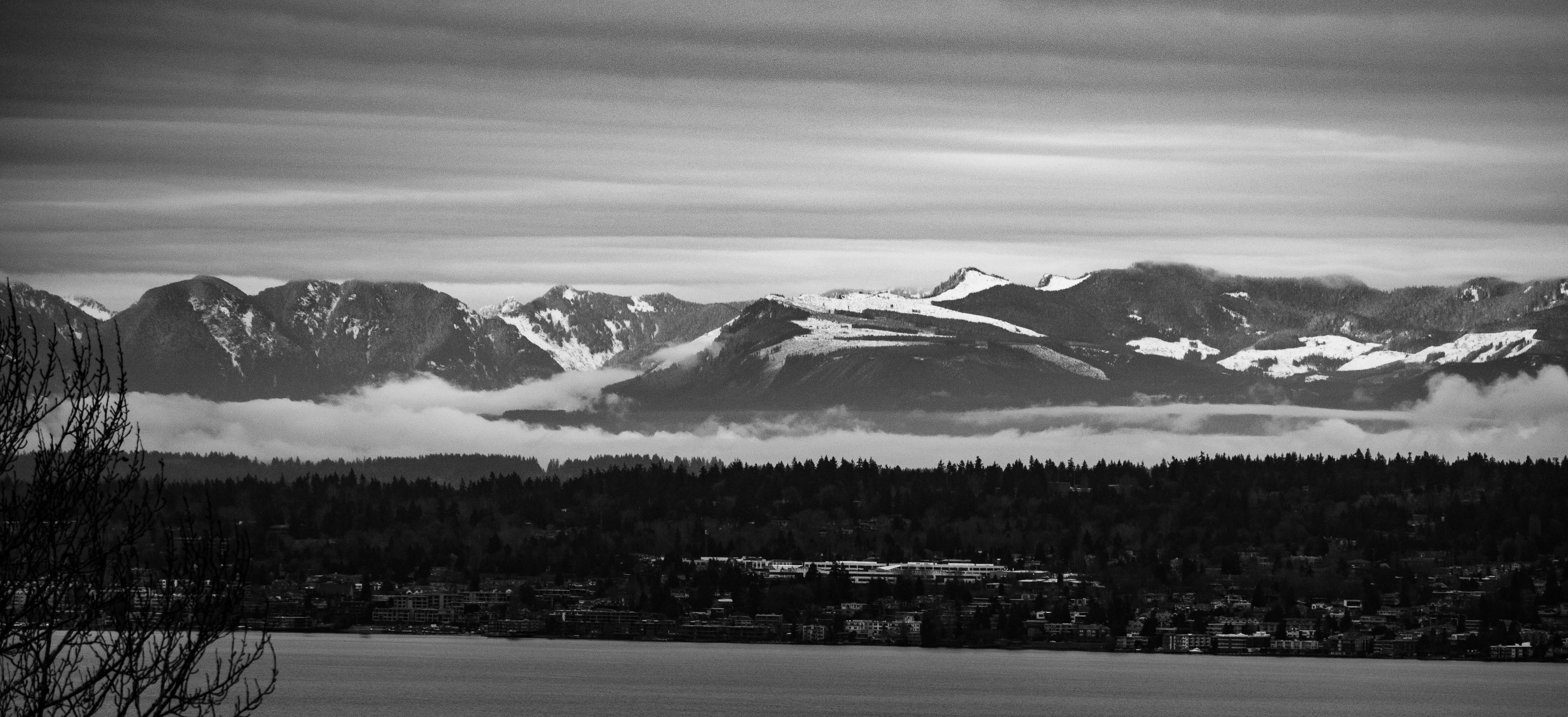 Image by Jimmy Woo via Unsplash