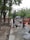 Several men are working on a construction site in a rural area, mixing cement or concrete on a paved pathway. The scene is surrounded by greenery, with trees lining the pathway. Piles of bricks and construction materials are visible, and small houses with tin roofs are in the background.