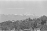 A black and white image capturing a mountainous landscape in the background, with snow-covered peaks. In the foreground, a dense area of trees and a few buildings are visible, creating a harmonious contrast between natural and human-made structures.