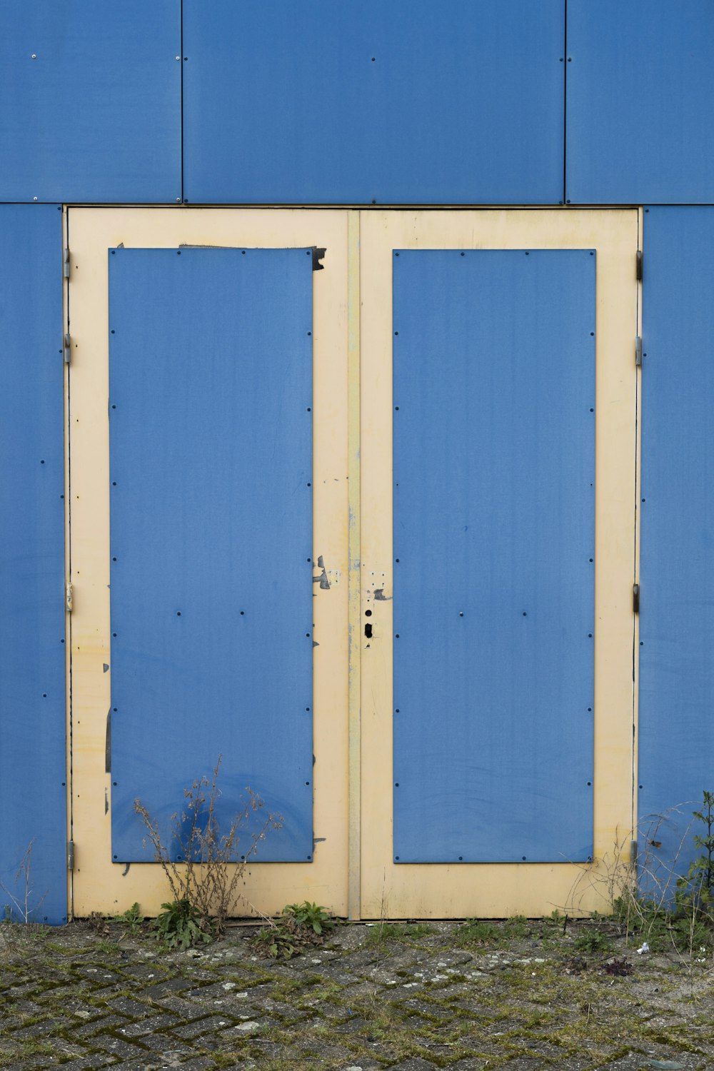 a blue building with two doors and a cat sitting in front of it