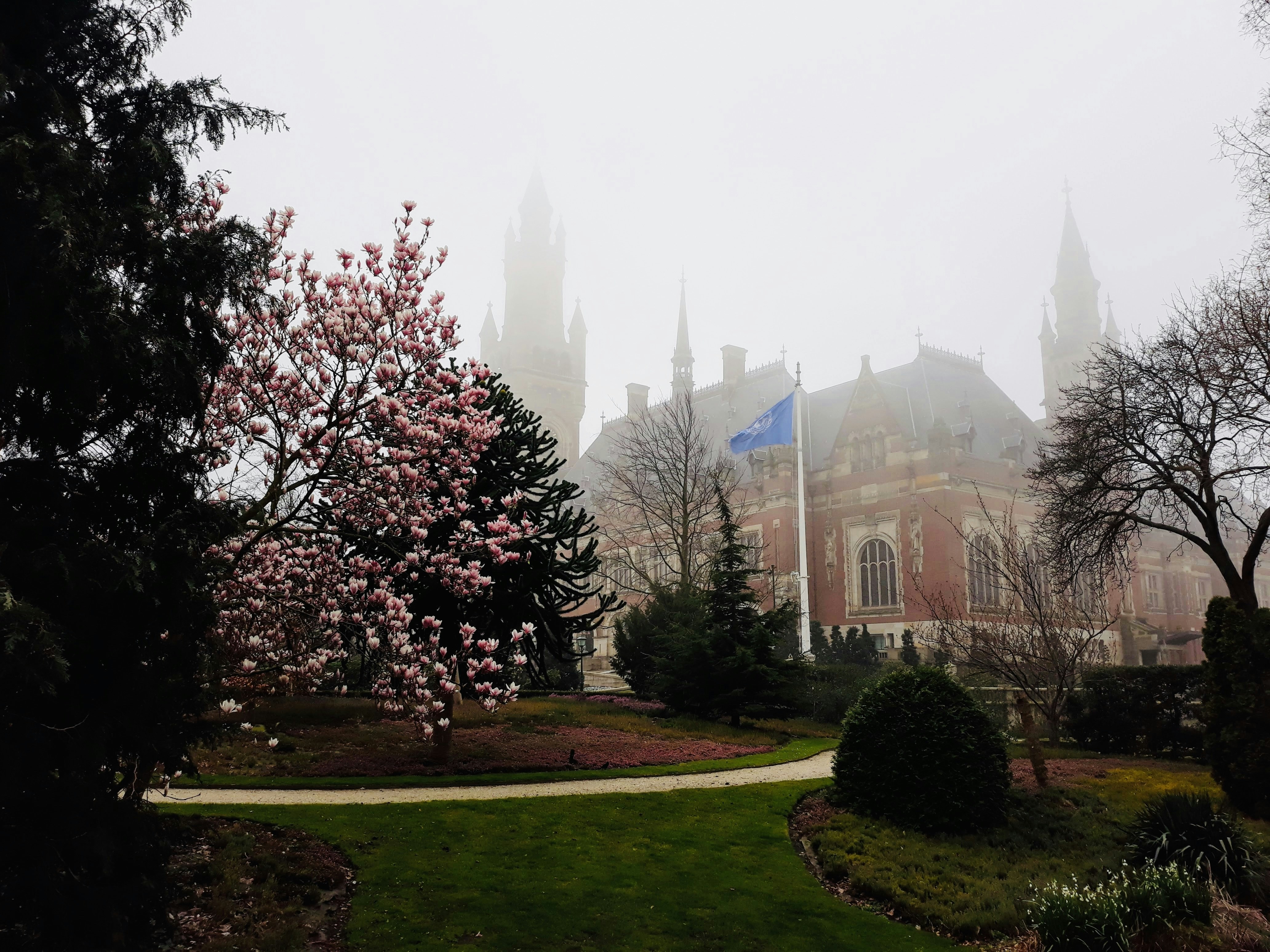 Afbeelding van 's-Gravenhage