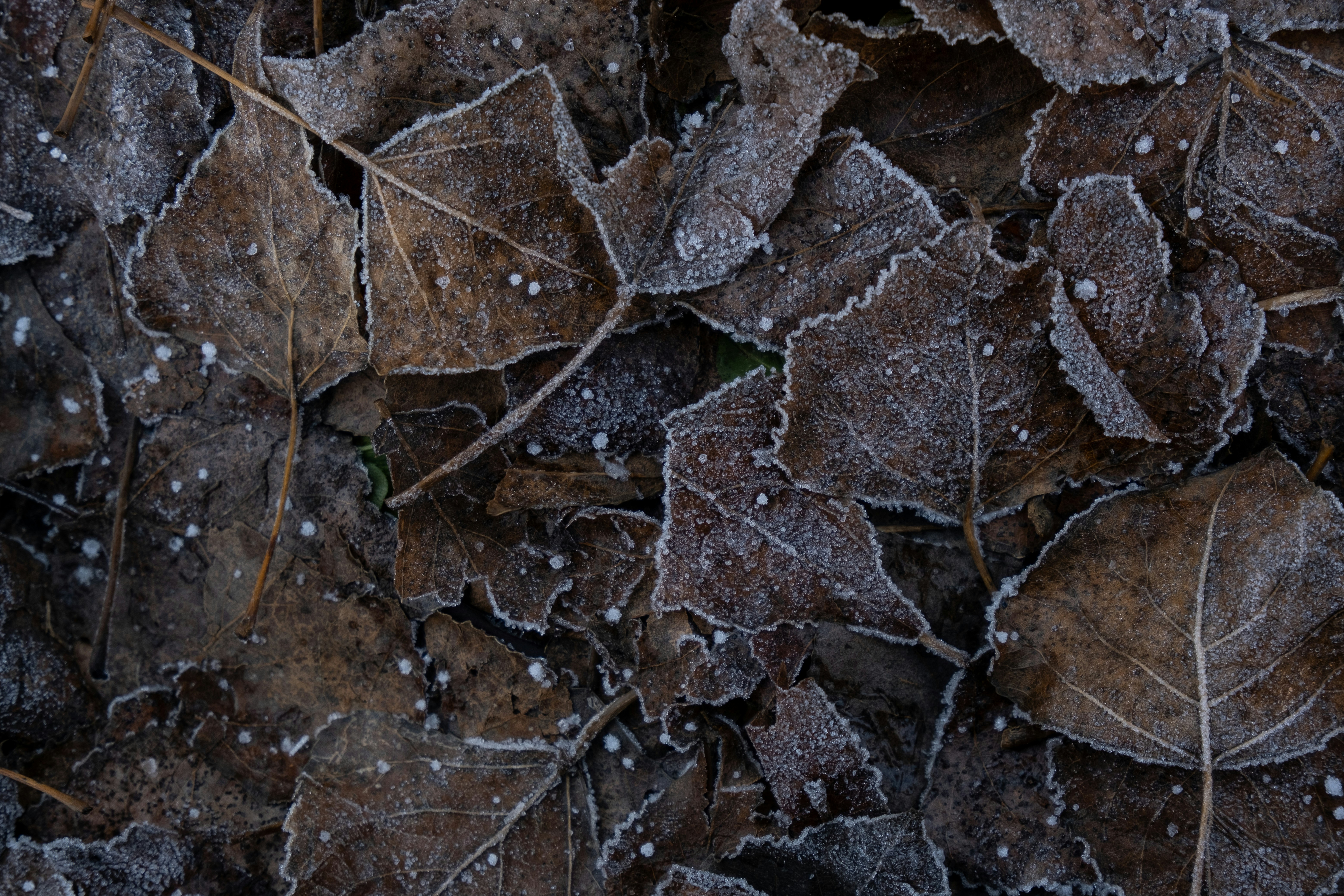 Photo by redredorange