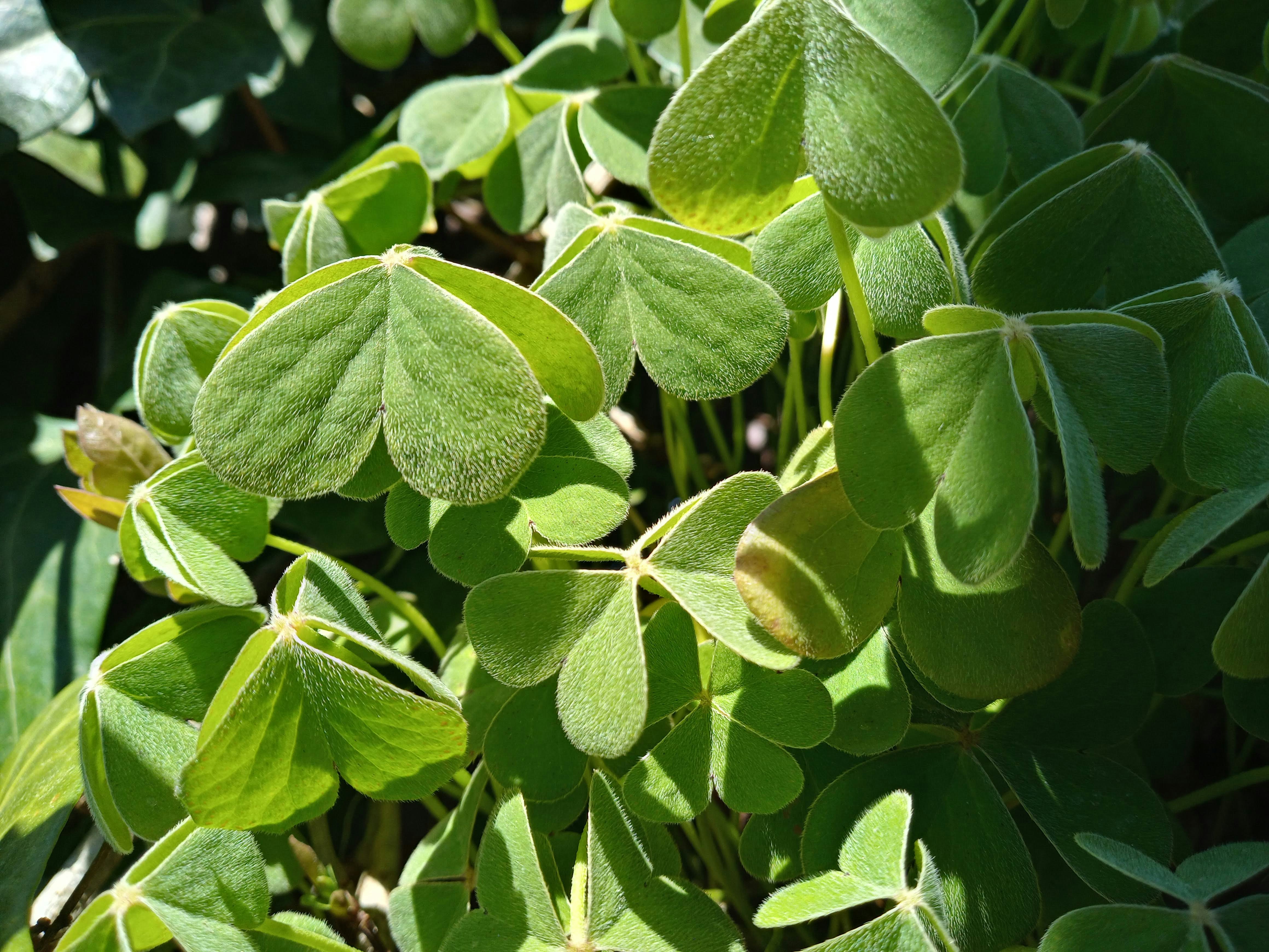 Photo by analanguagecoach