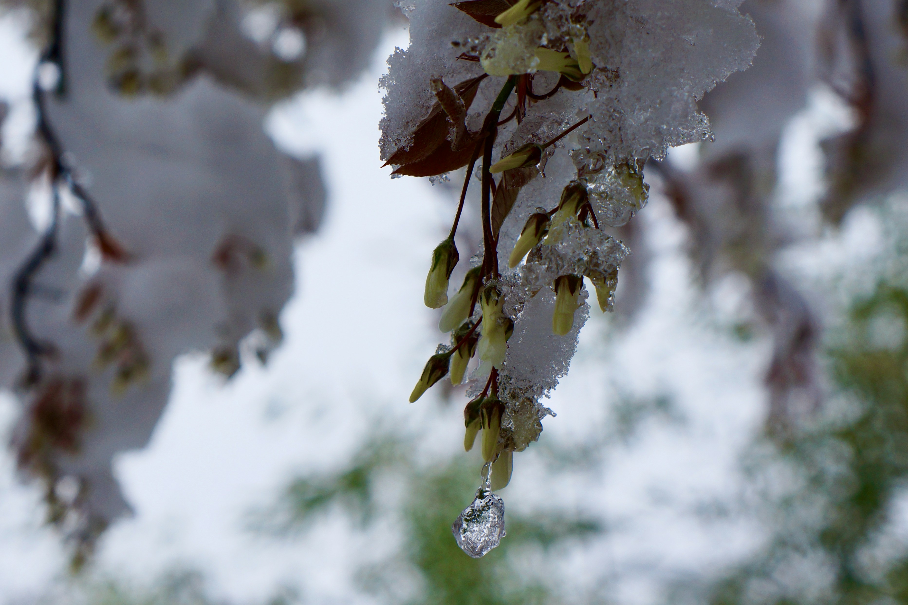 Photo by peterburdon