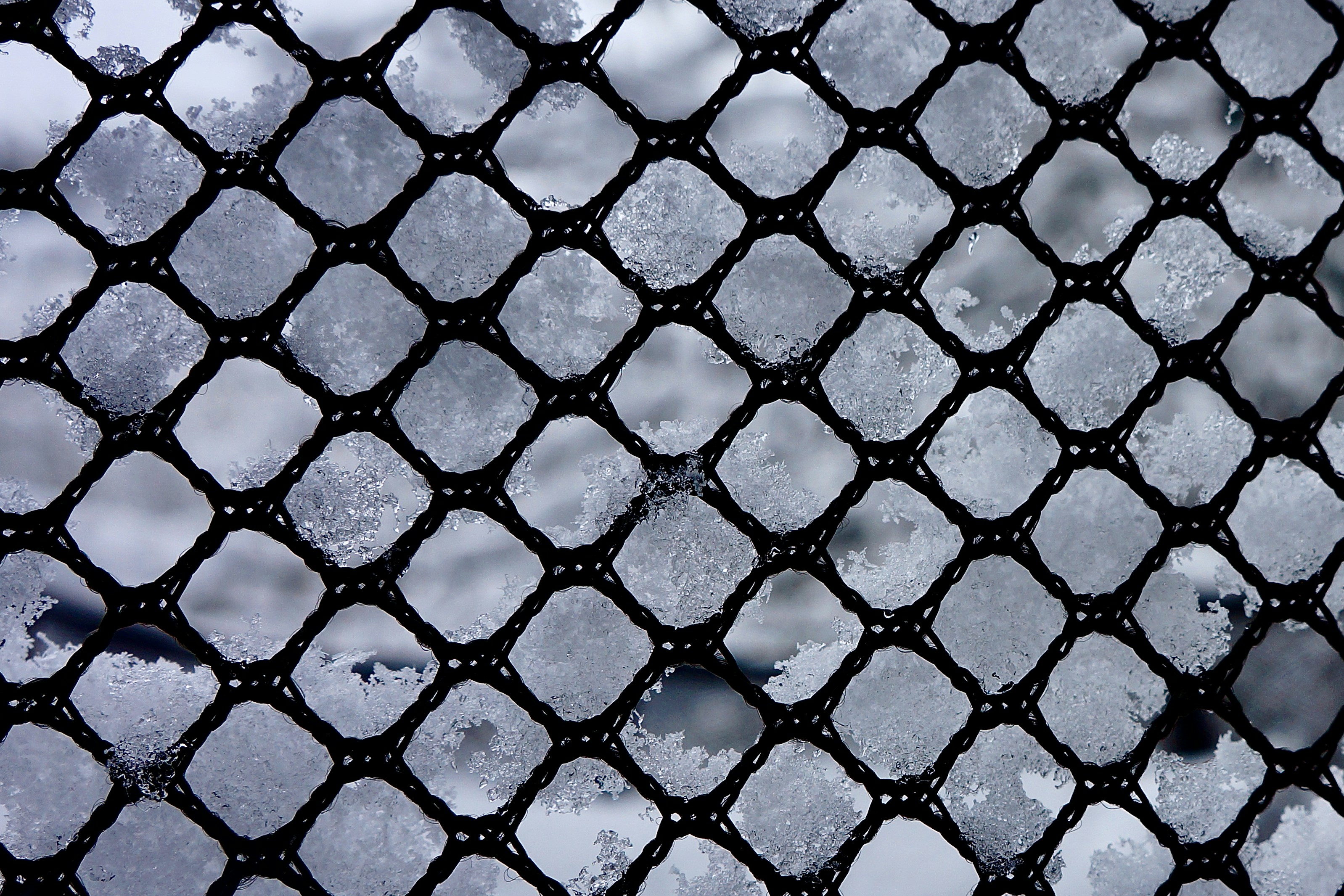 Photo by peterburdon