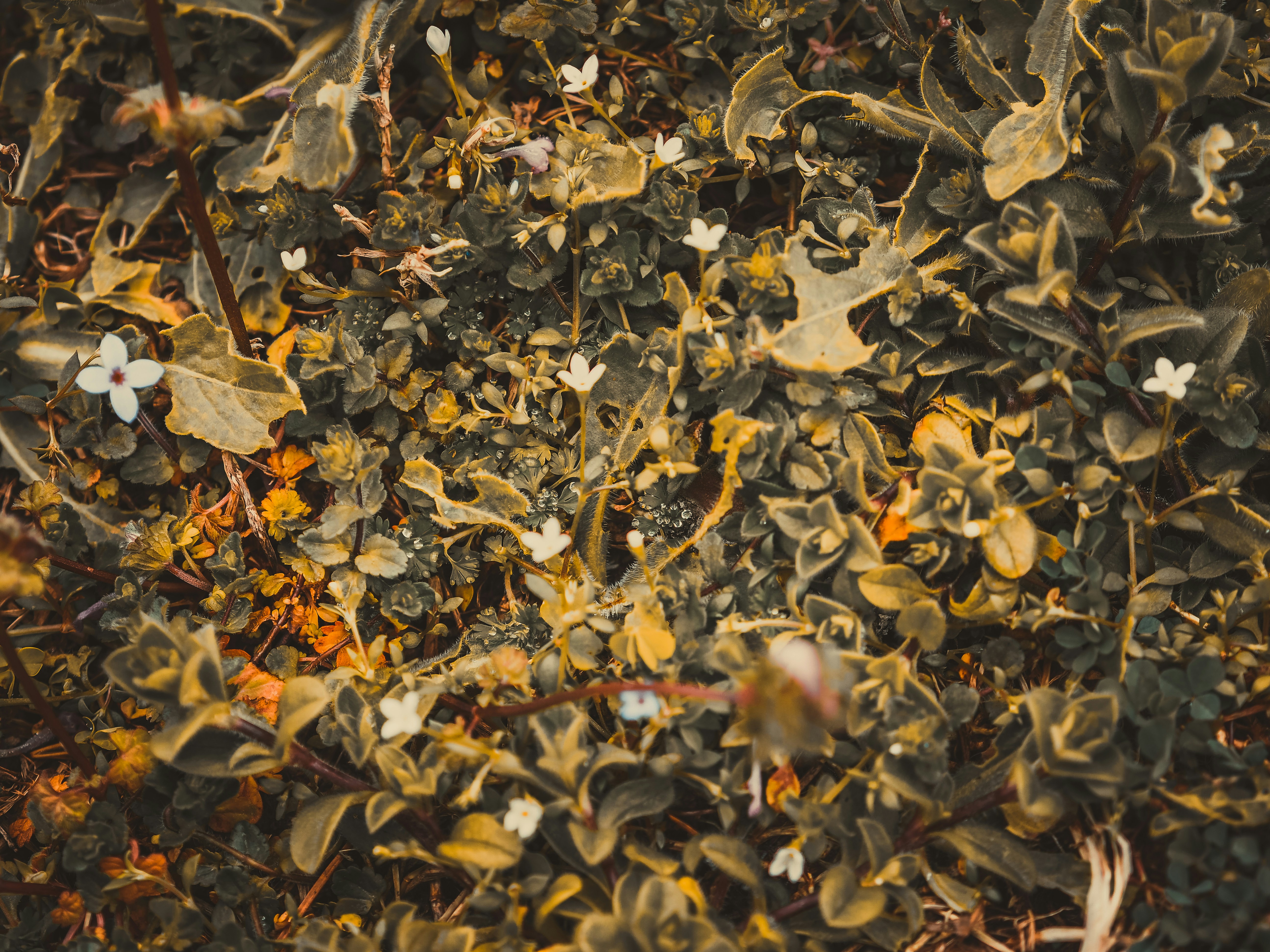 Photo by fieldworkframes