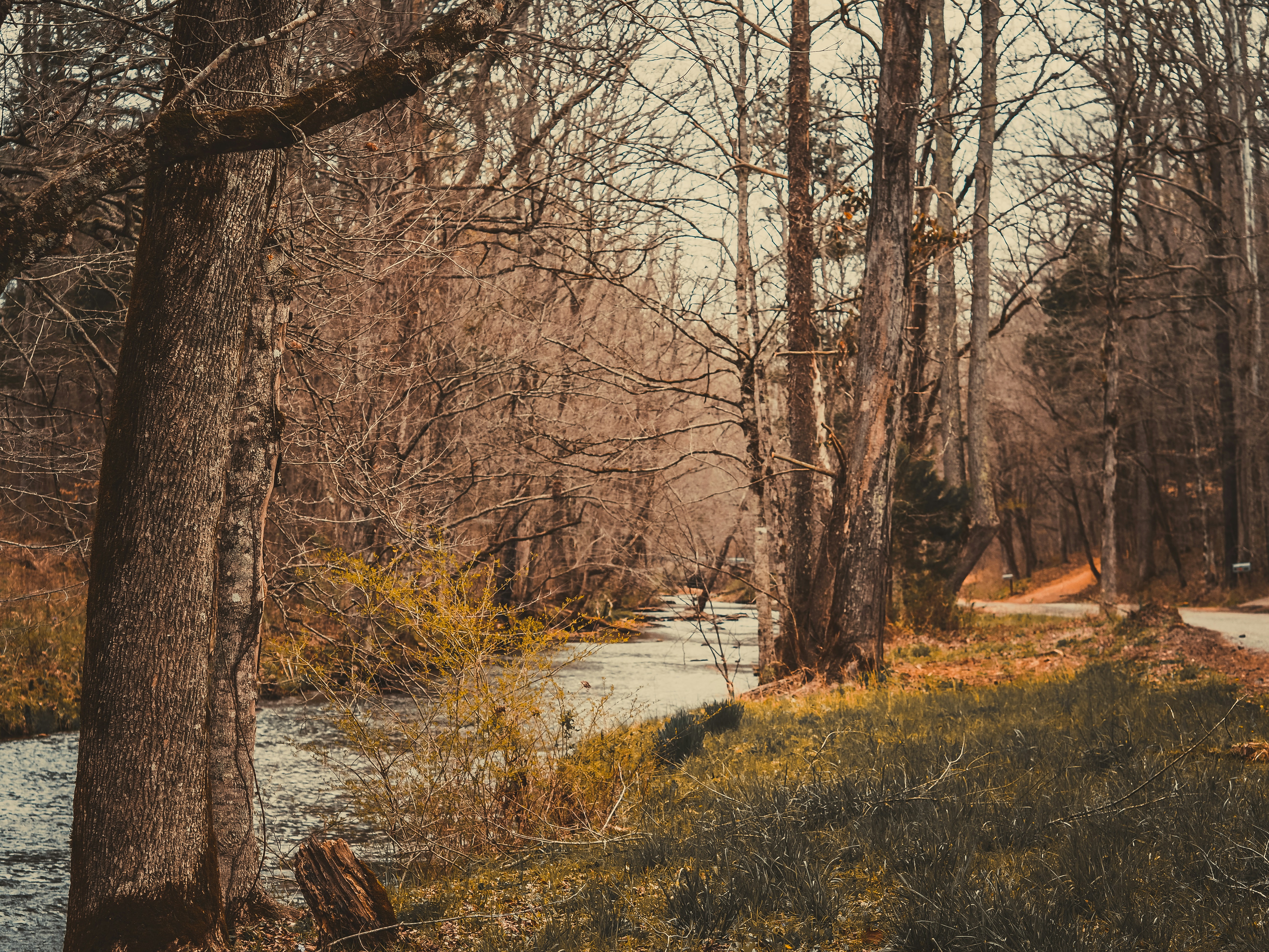 Photo by fieldworkframes