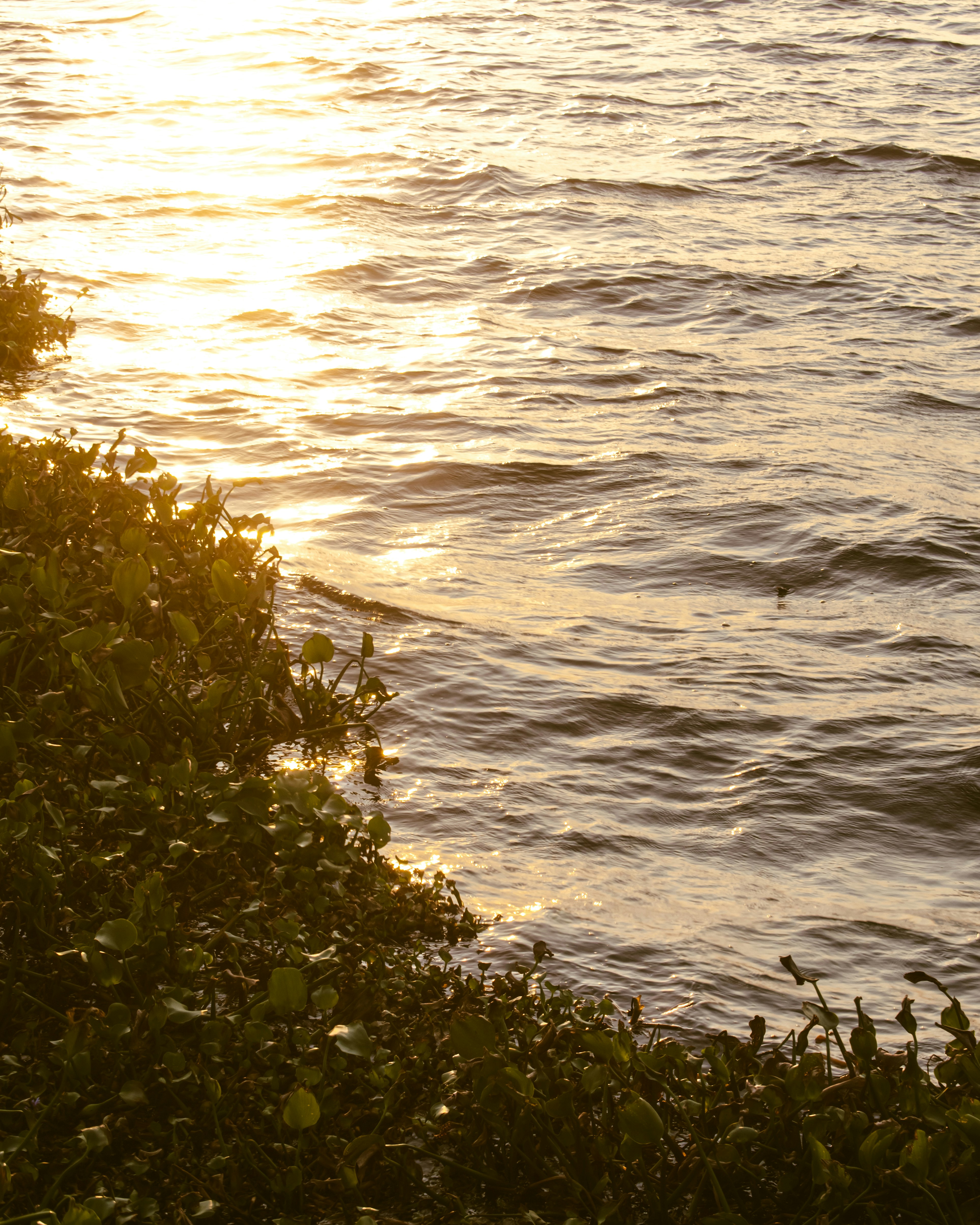 Photo by soumulsaman