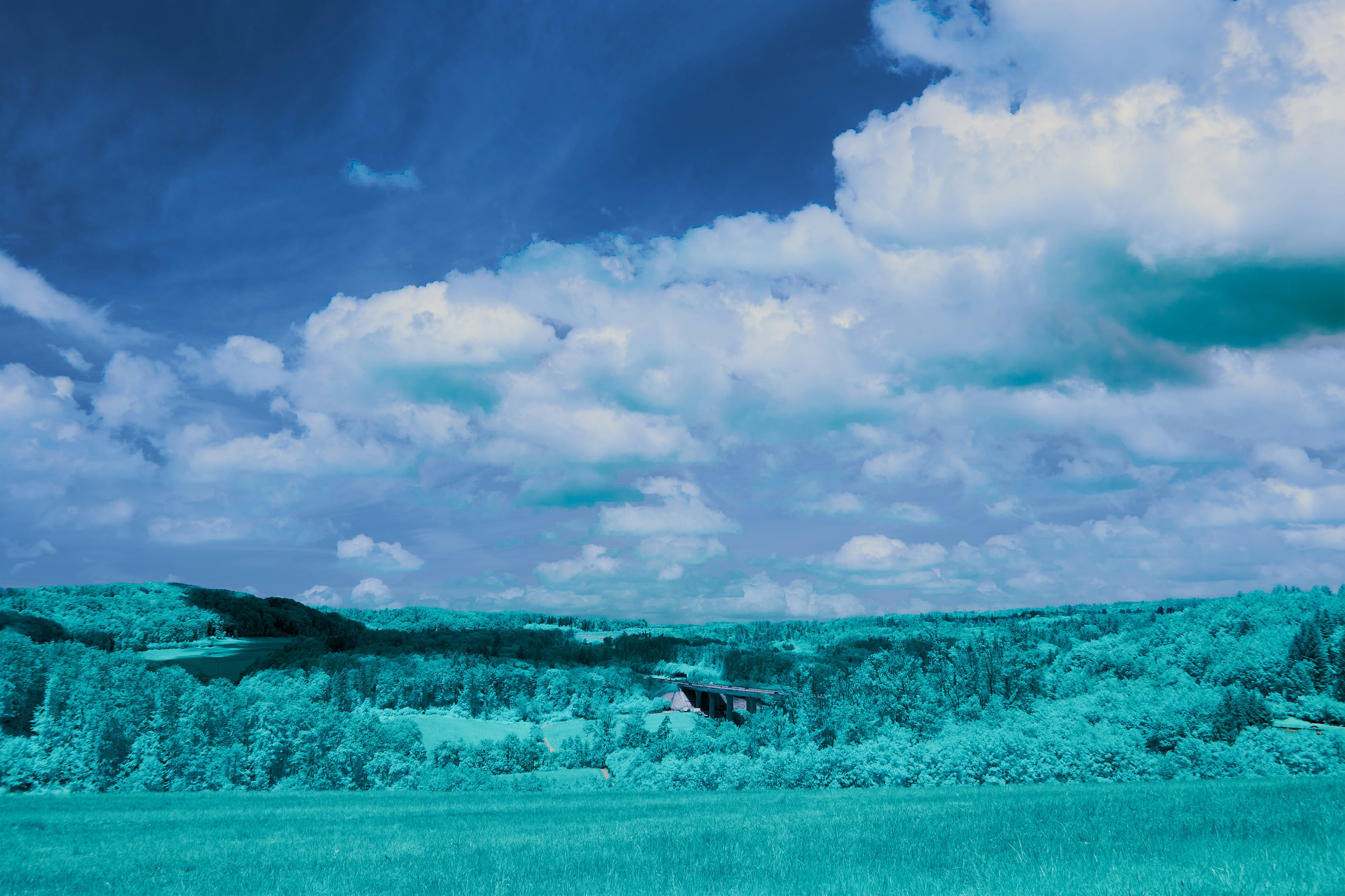 Photo by wolfgang_hasselmann