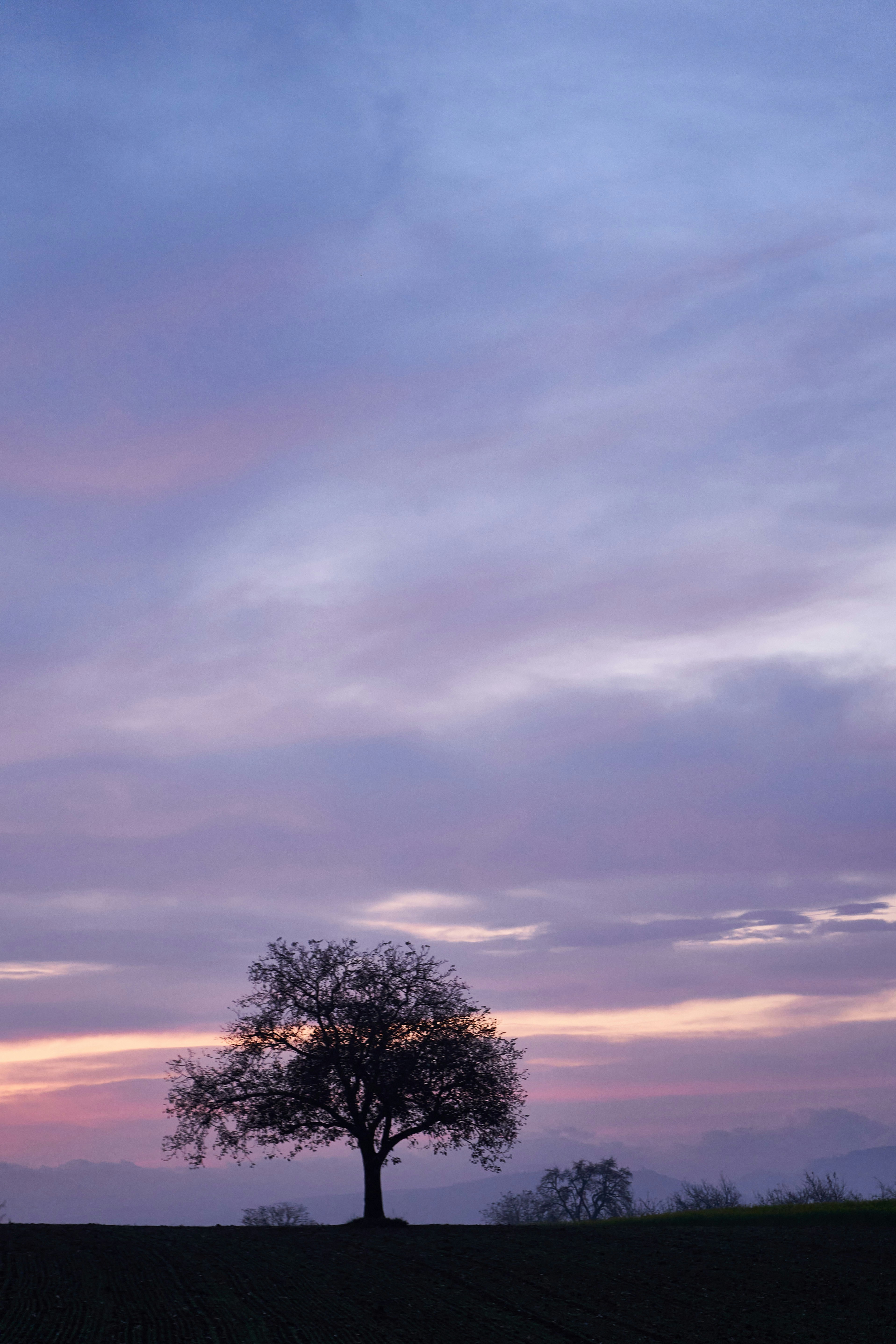 Photo by wolfgang_hasselmann