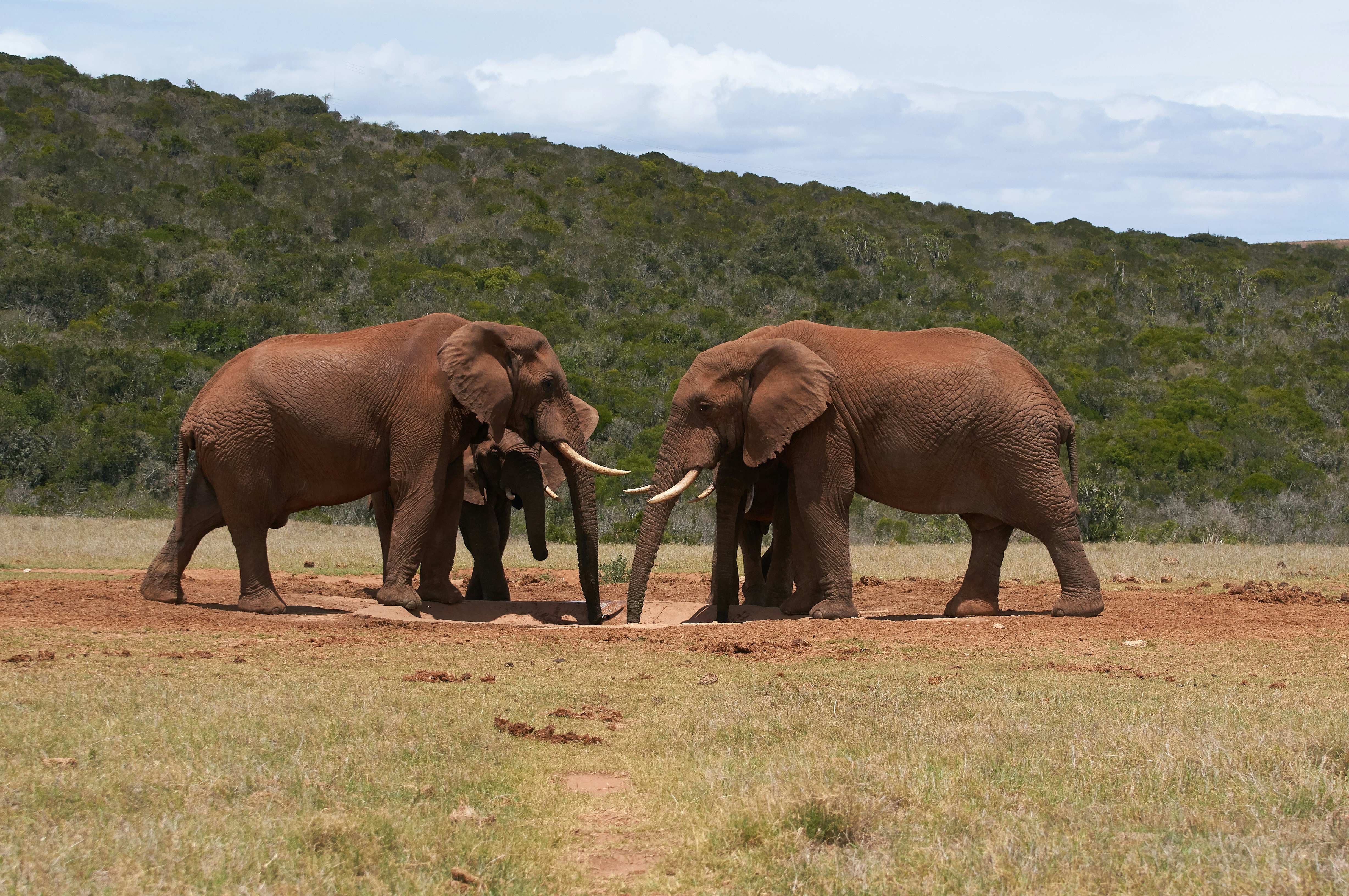 Photo by wolfgang_hasselmann