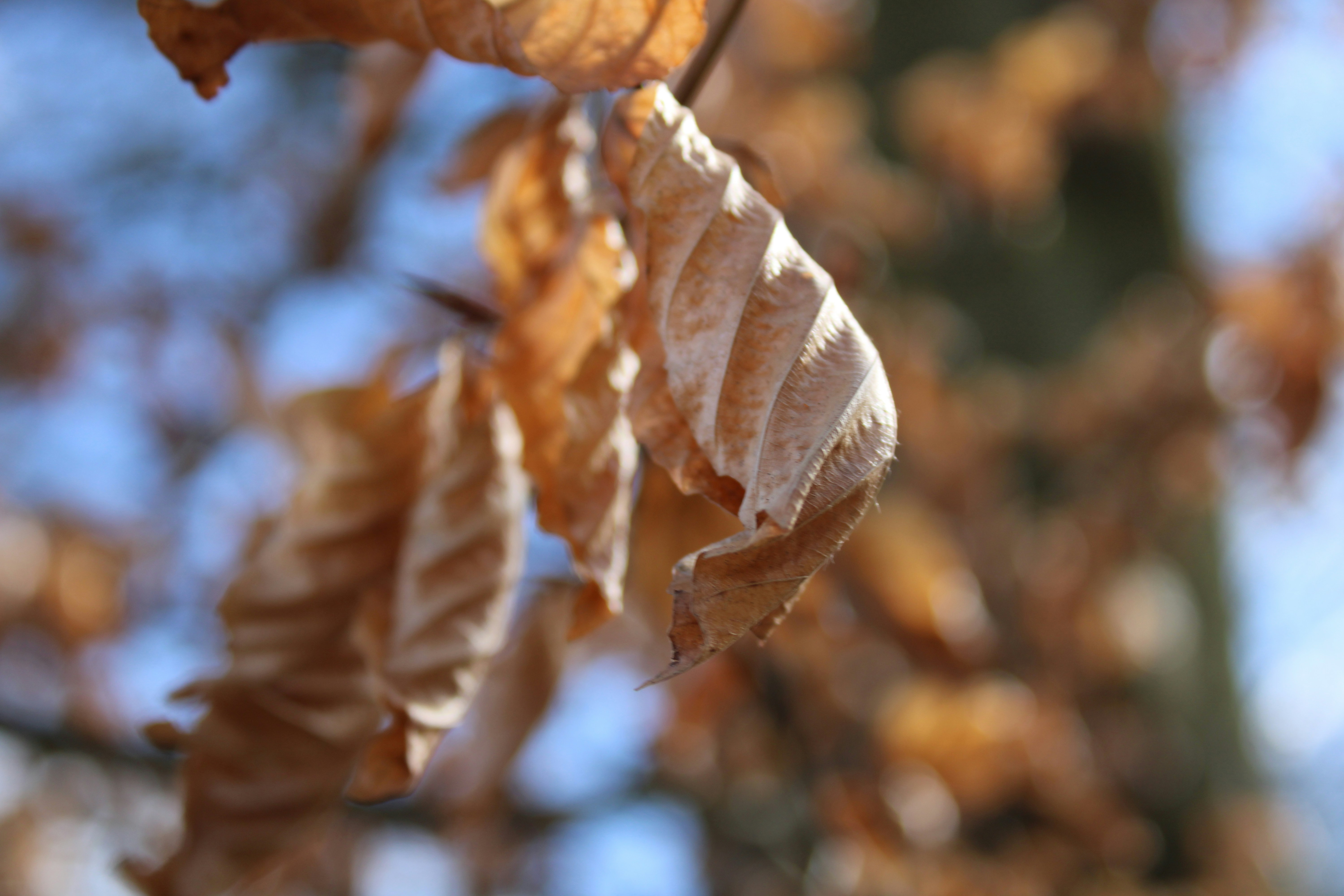 Photo by balesphotographyco