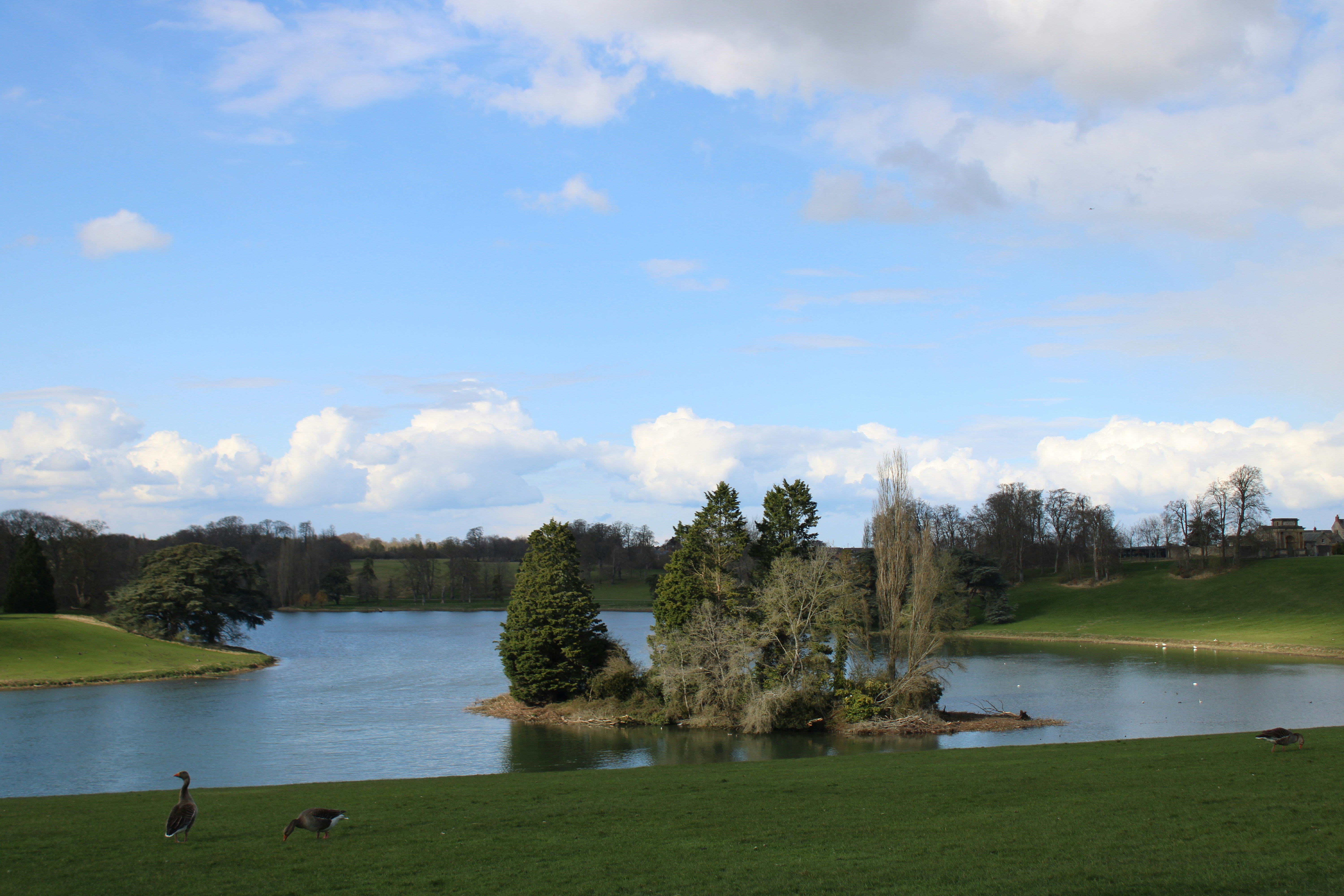 Photo by balesphotographyco