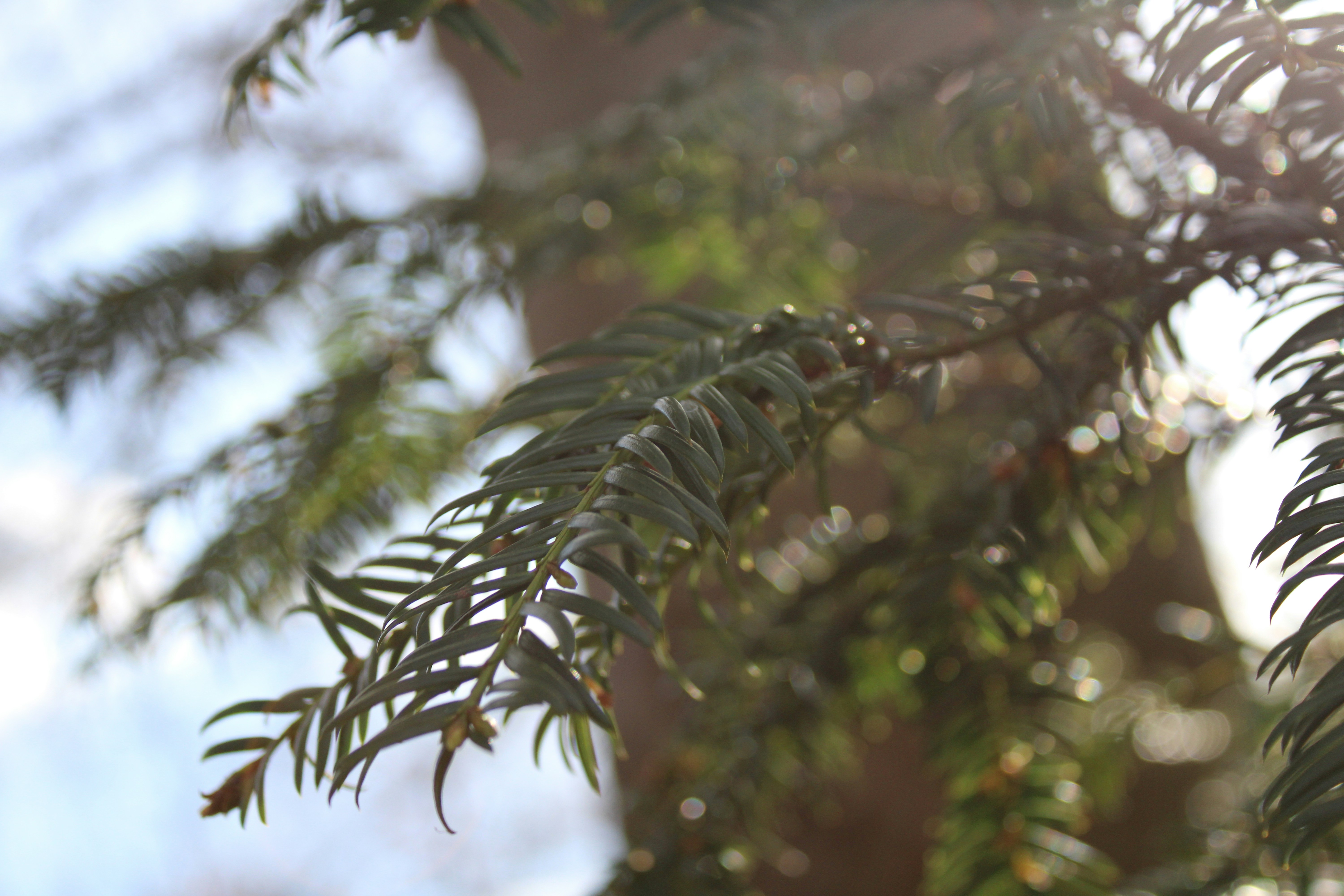 Photo by balesphotographyco