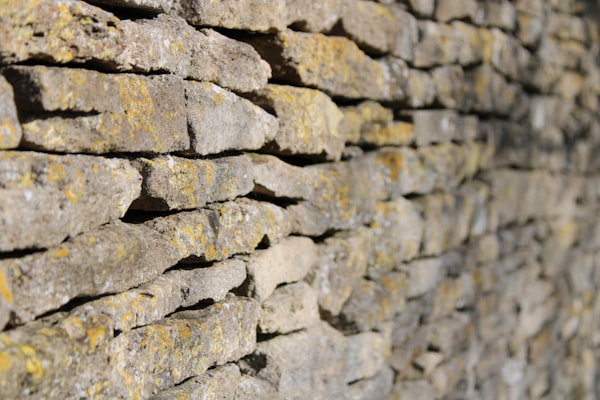 Façade de maison bretonne avec traces de mousse et d'algues nécessitant un démoussage