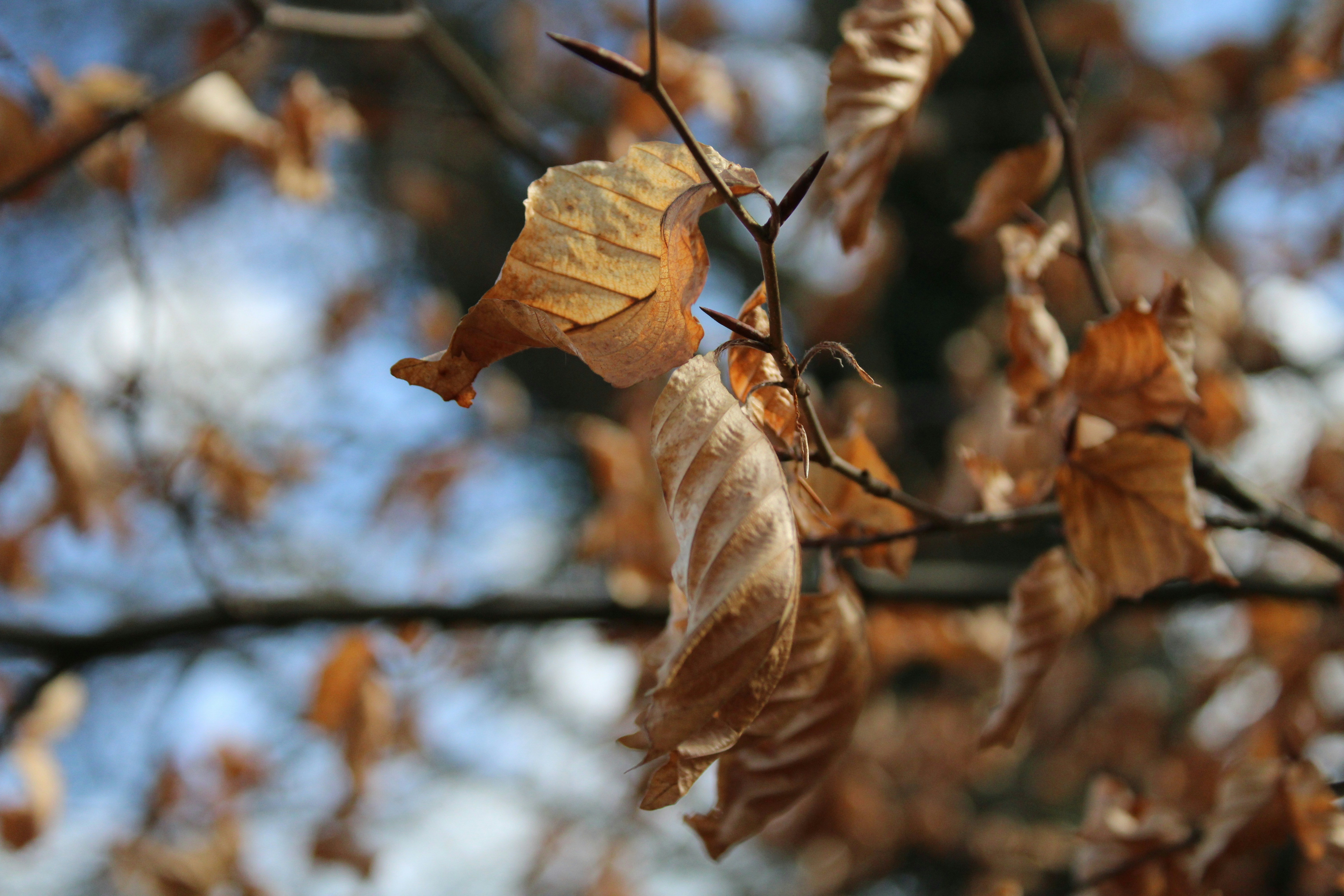 Photo by balesphotographyco