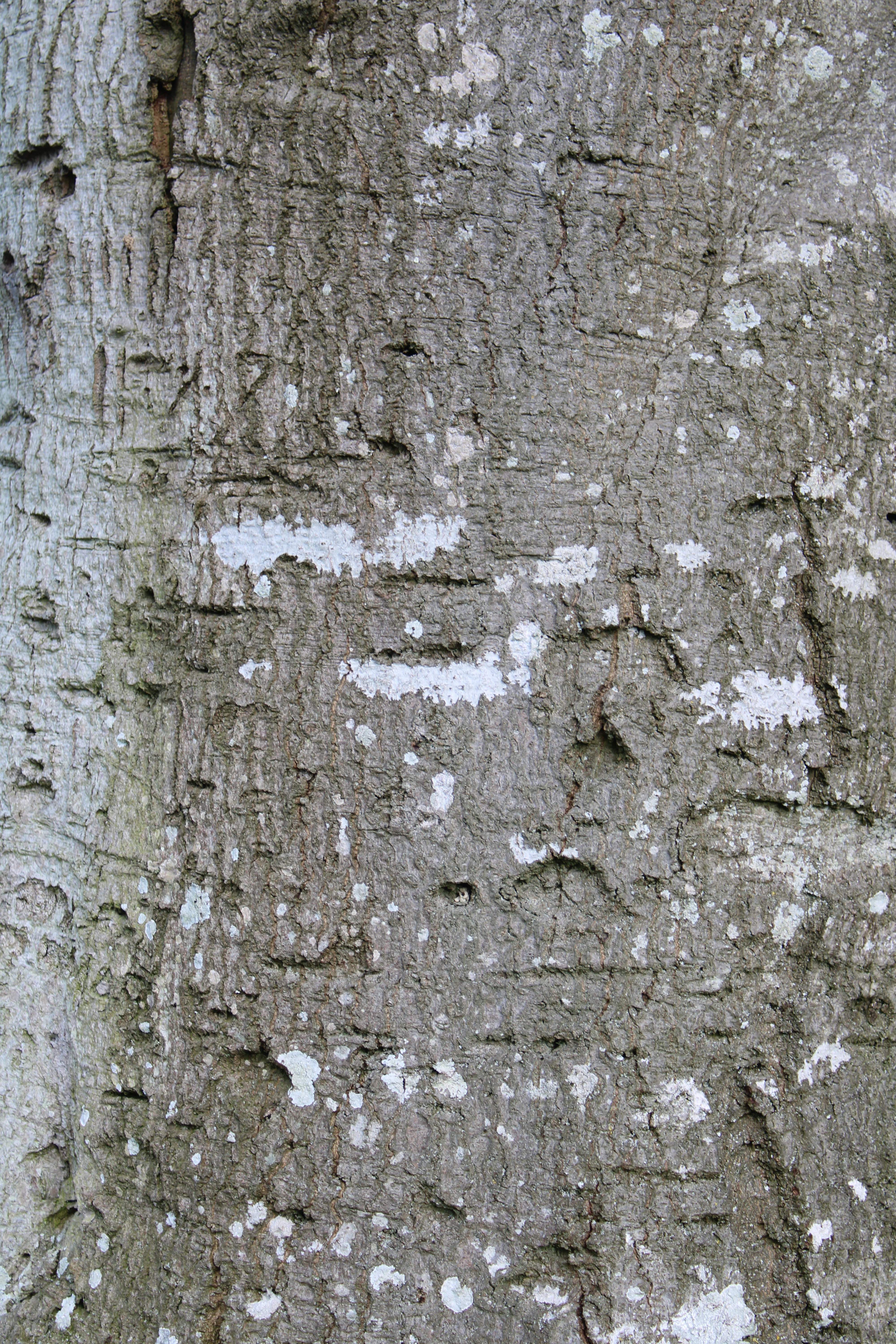 Photo by balesphotographyco