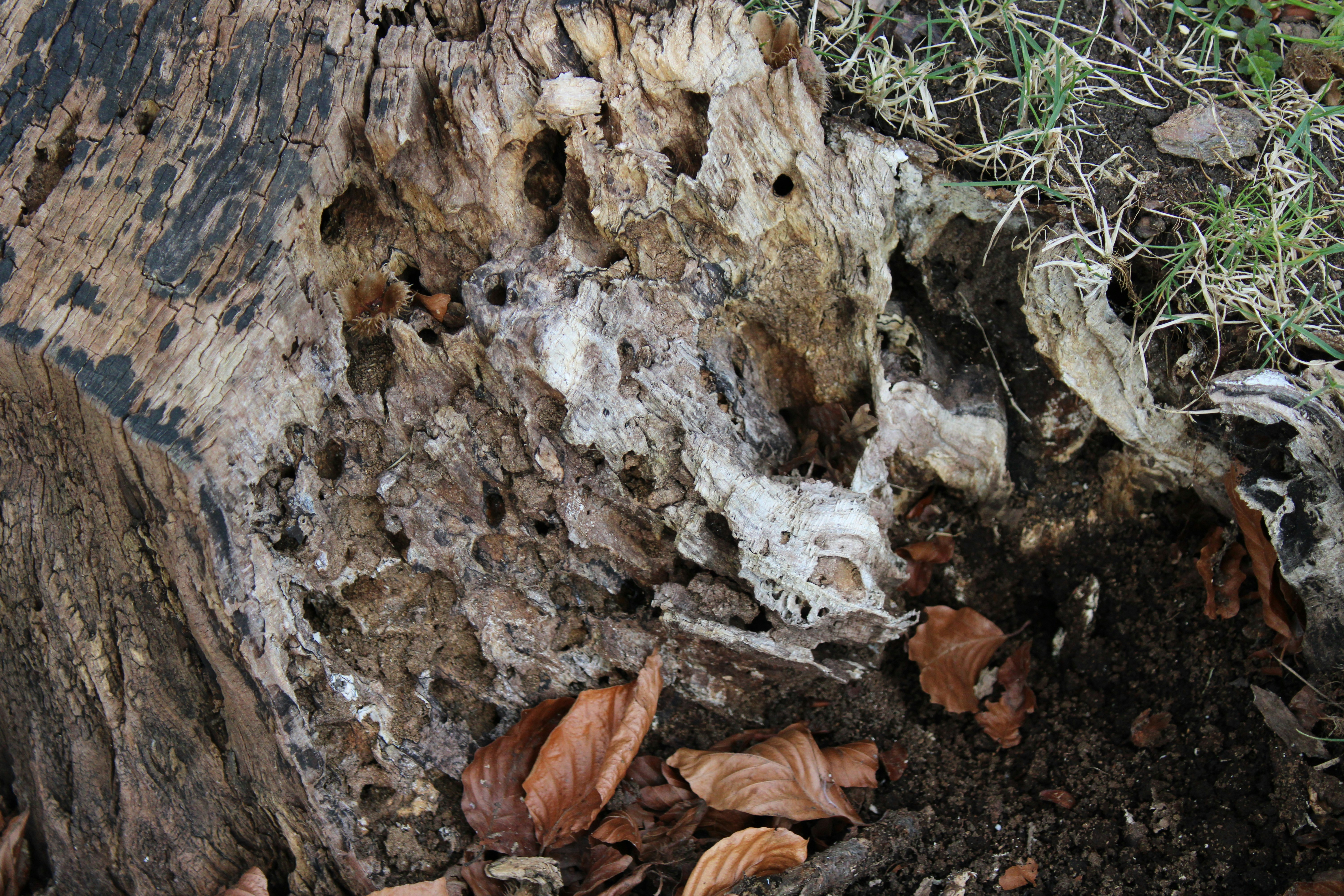 Photo by balesphotographyco