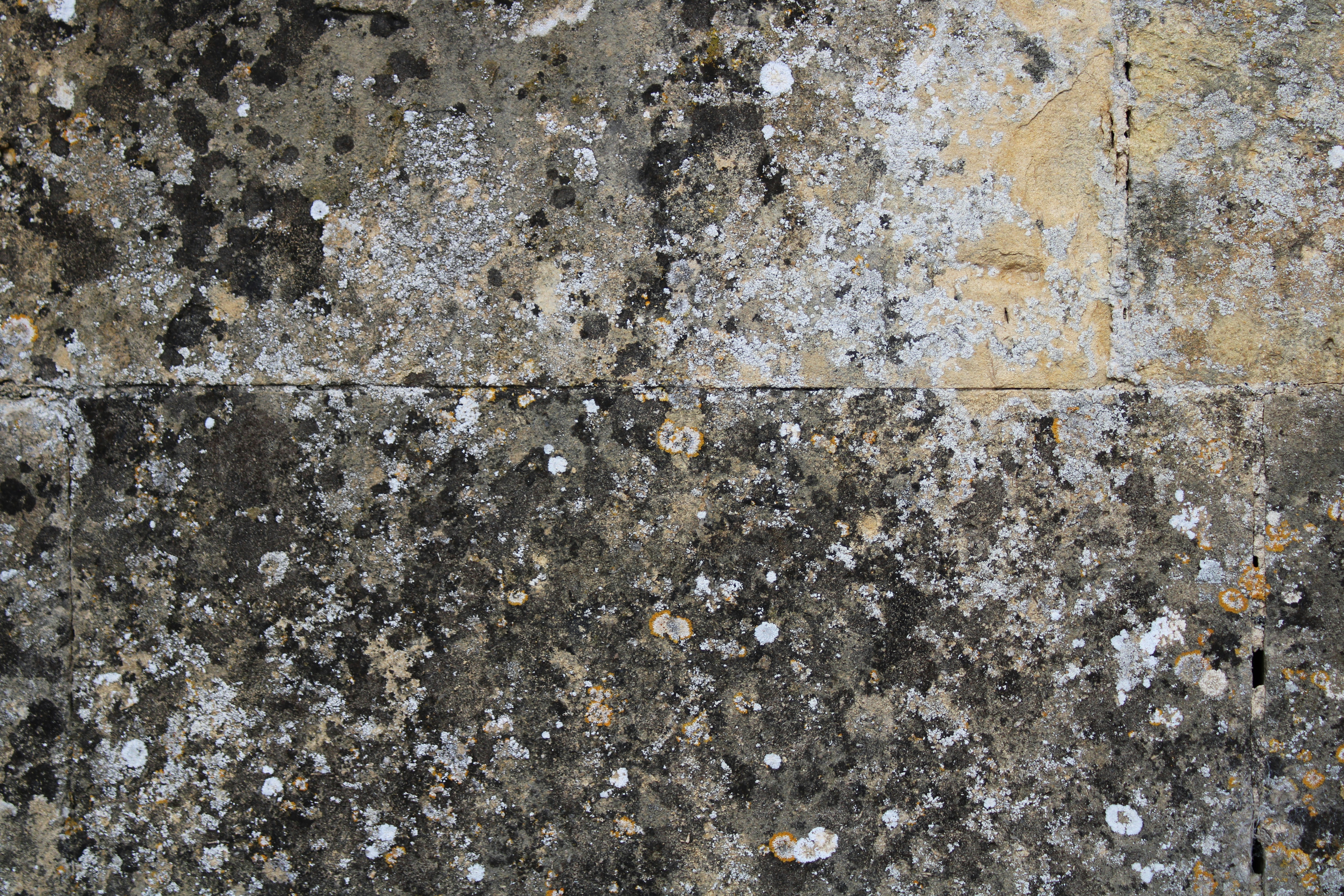 Photo by balesphotographyco