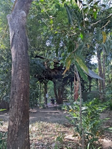 Handcrafted wooden garden shelter surrounded by greenery.