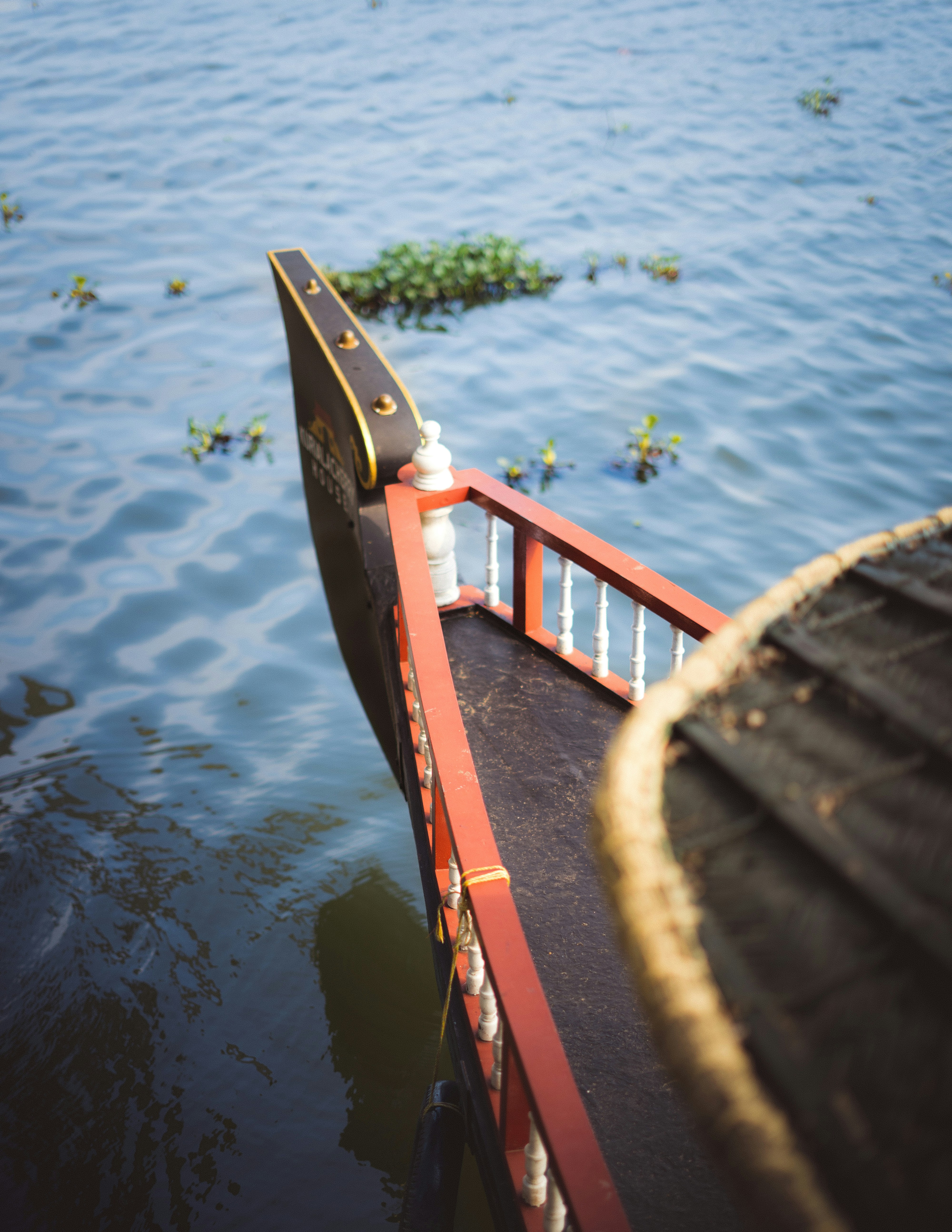 Photo by sharadmbhat