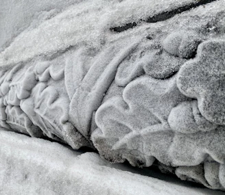 Close-up of delicate frost patterns etched on a crystal-clear ice sheet.
