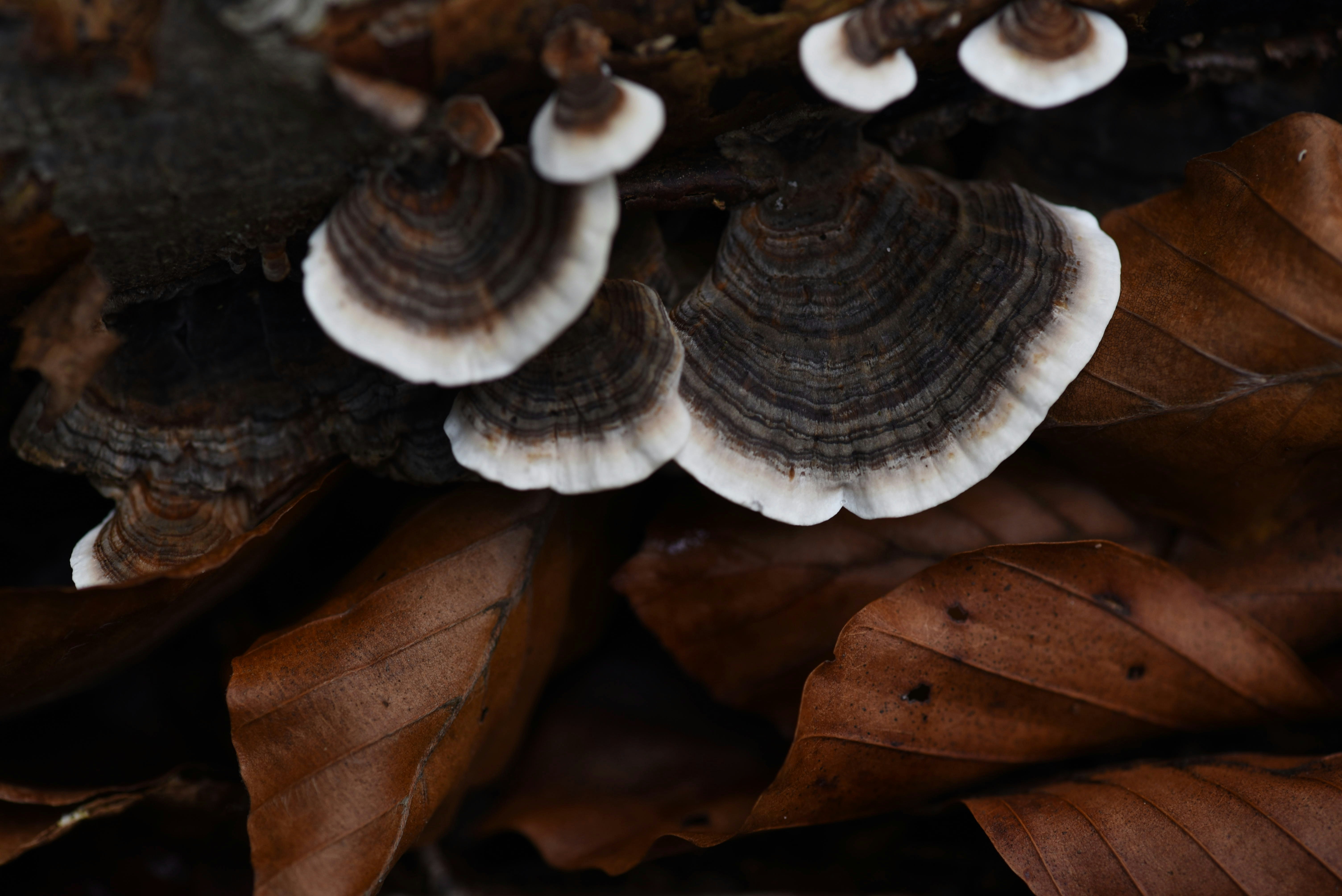 Photo by alexandrastam