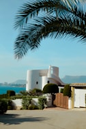 a house with a palm tree in front of it