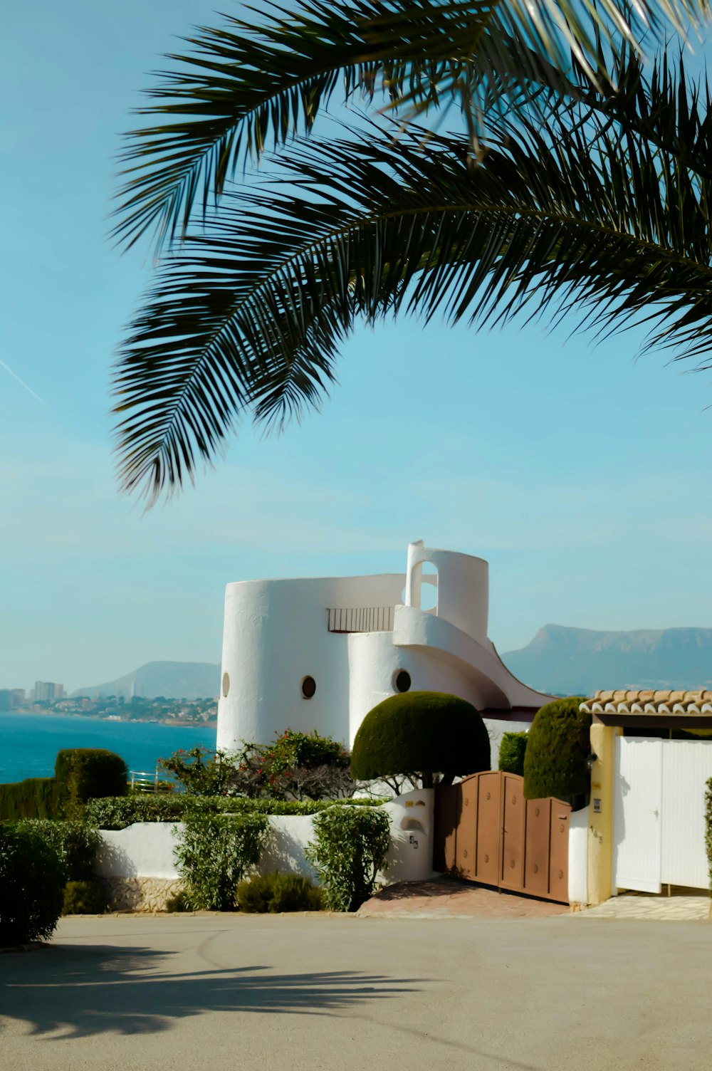 a house with a palm tree in front of it