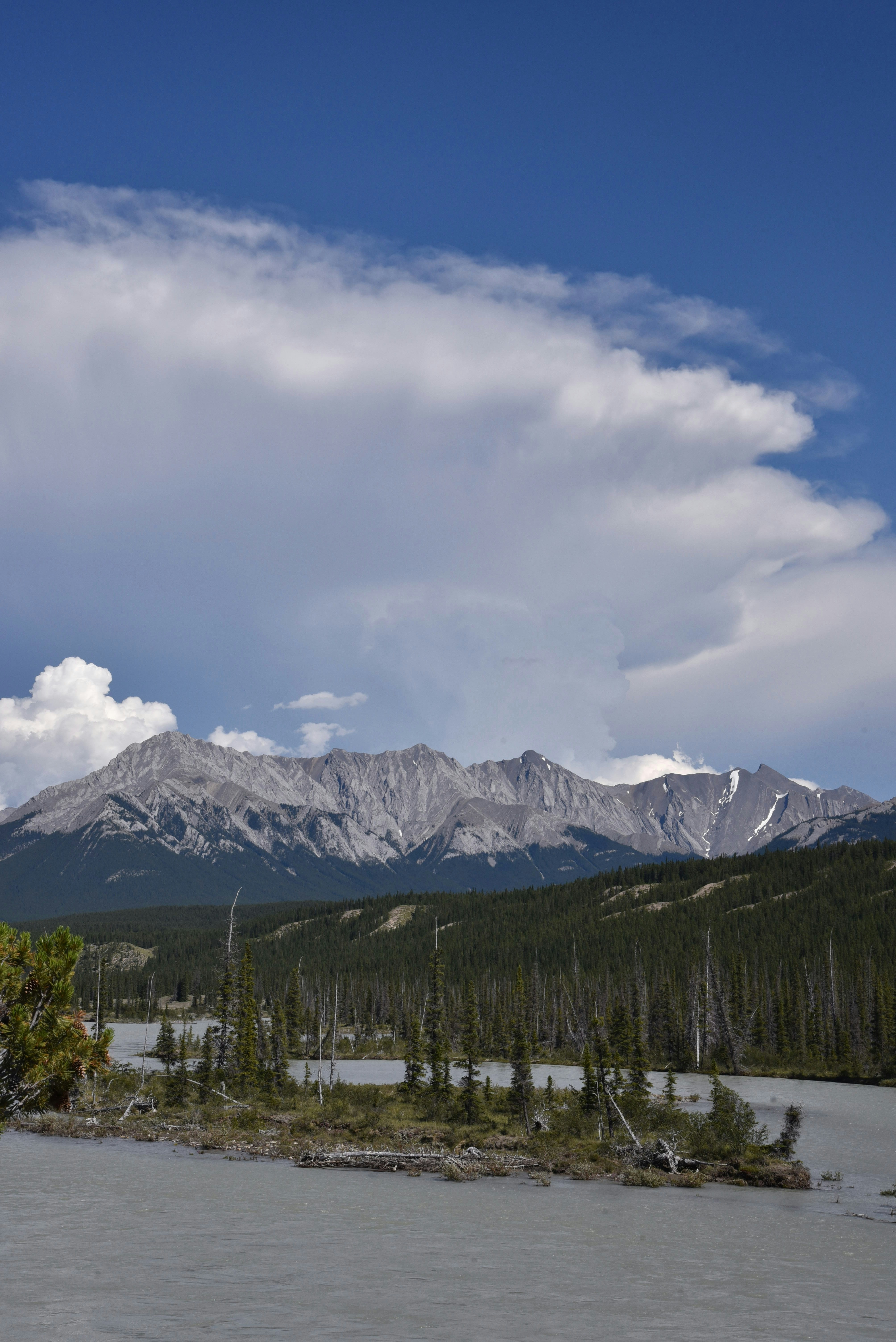 Photo by alexandrastam