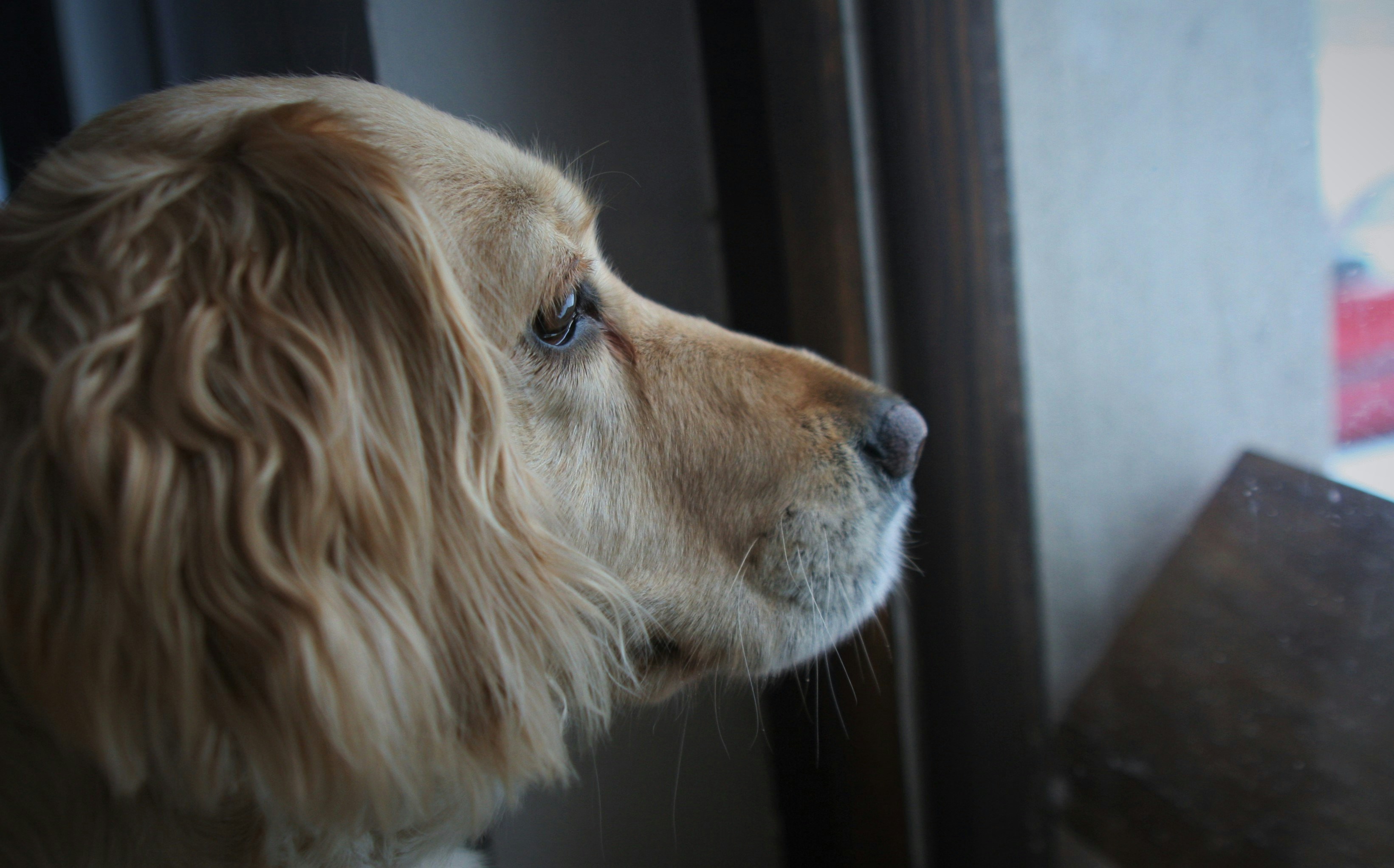 Photo by matusfotograf