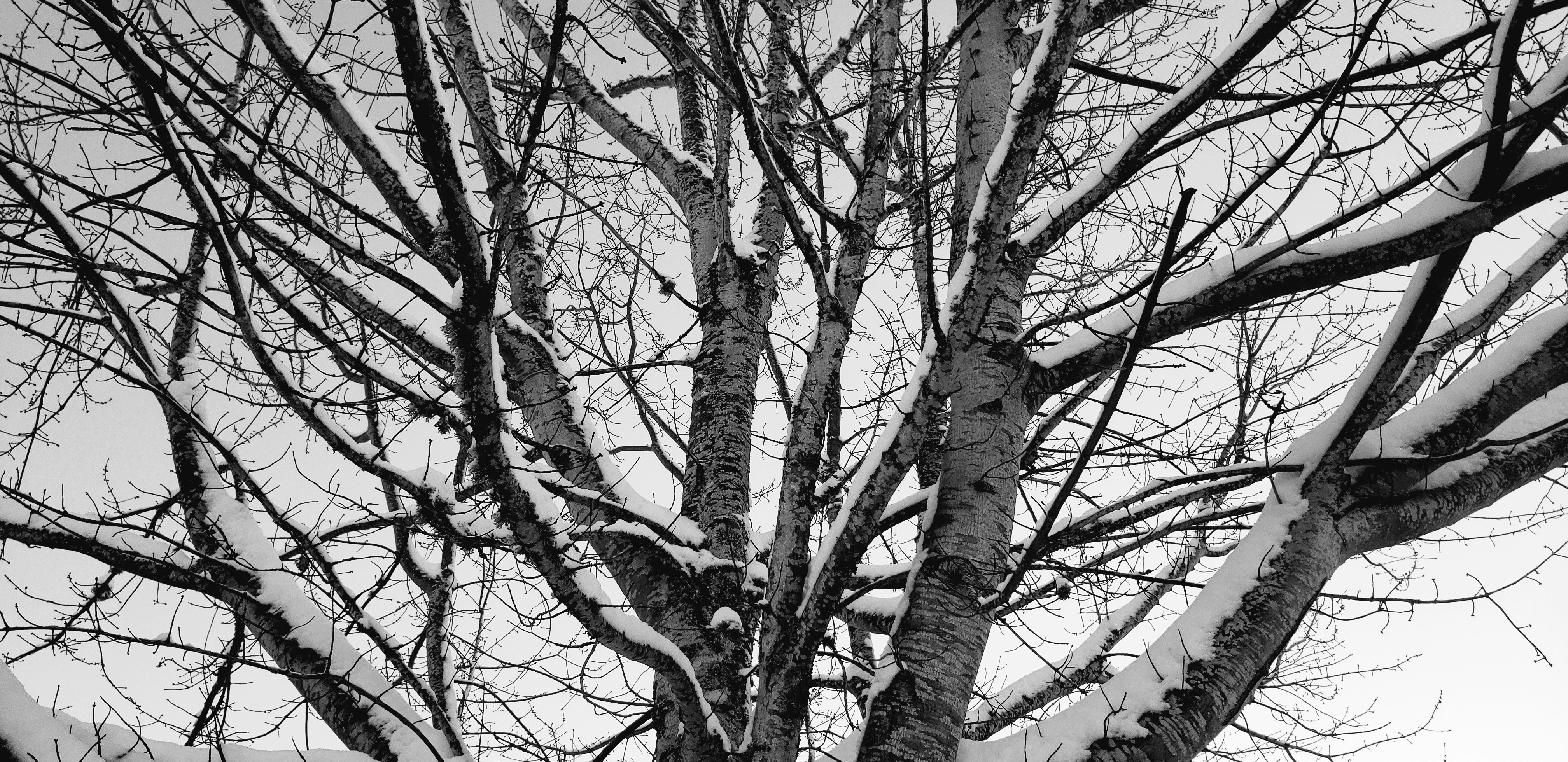 Photo by shinegreater