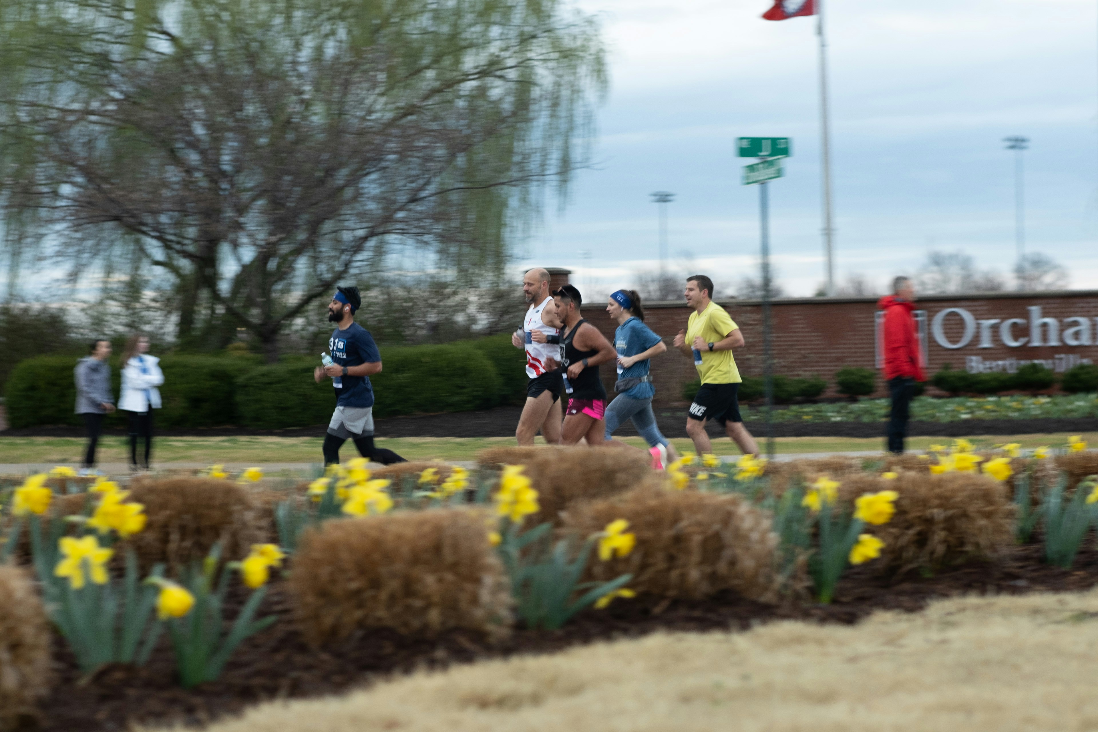 runners at the start line showing different bibs - Detroit marathon tips